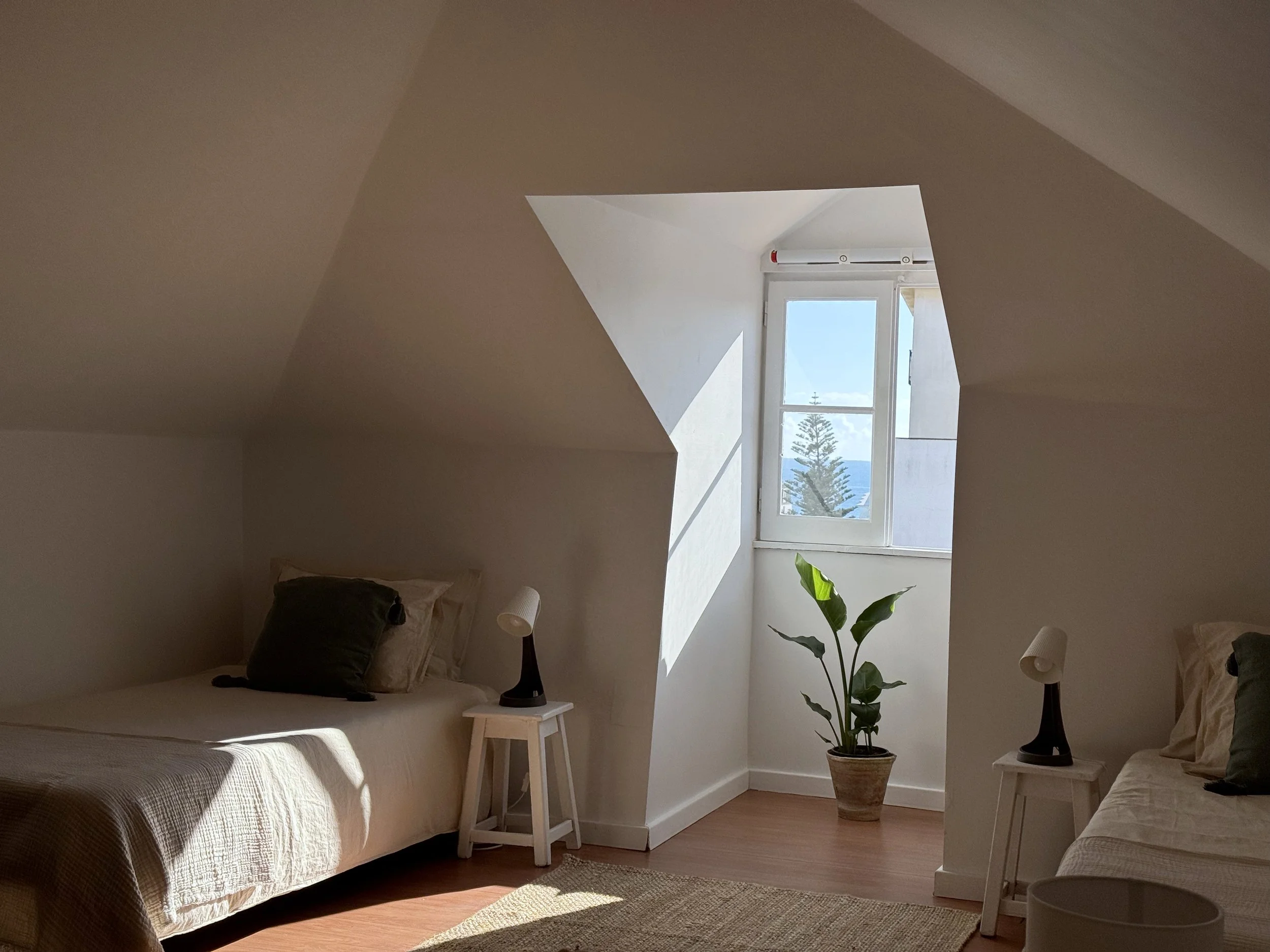 Room 9 singles and view.jpg