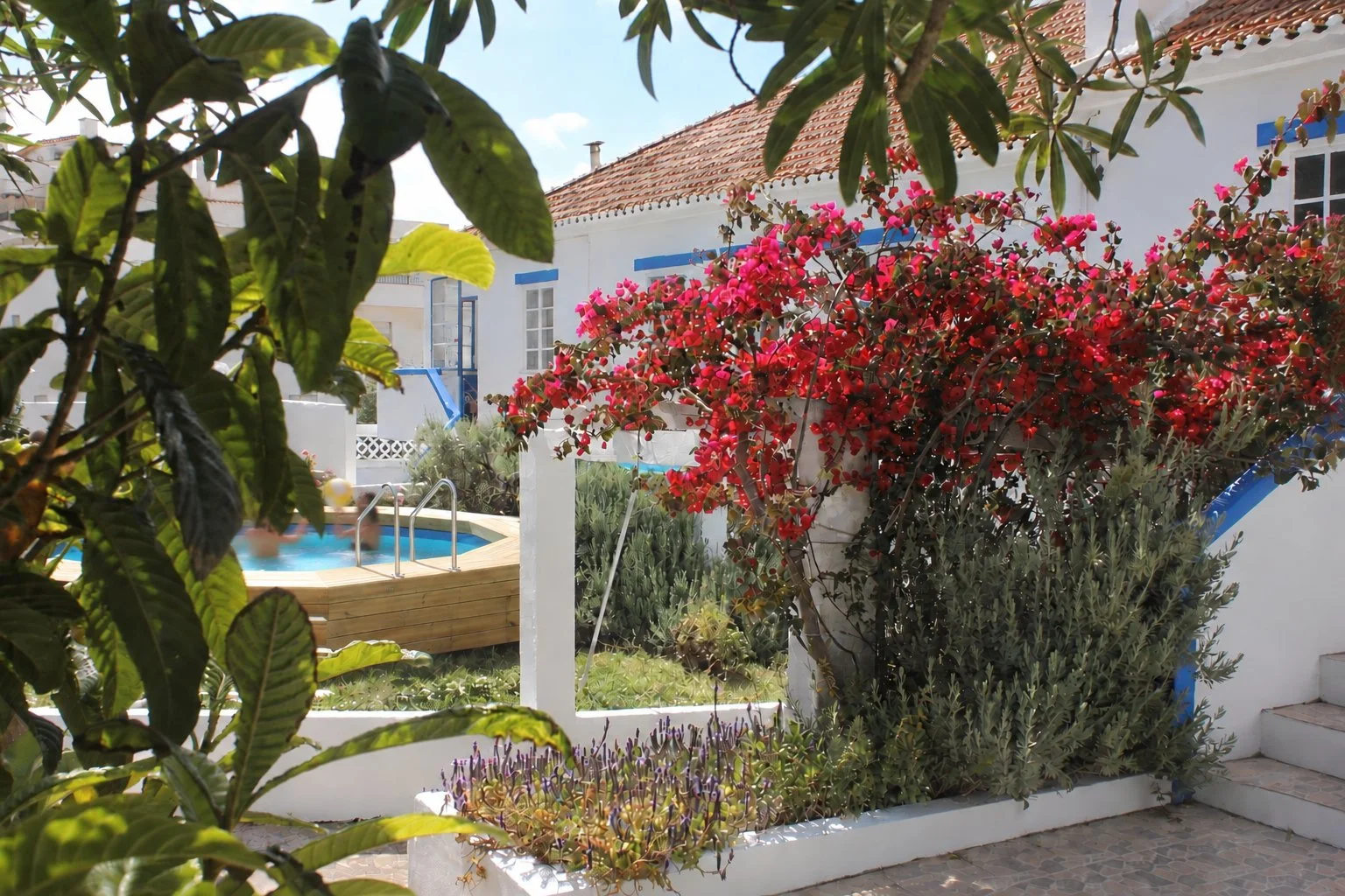 garden - pool with ppl .jpg