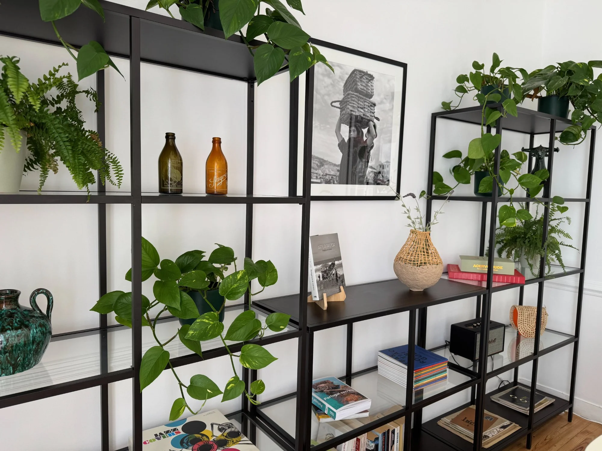 cowork shelf.jpg