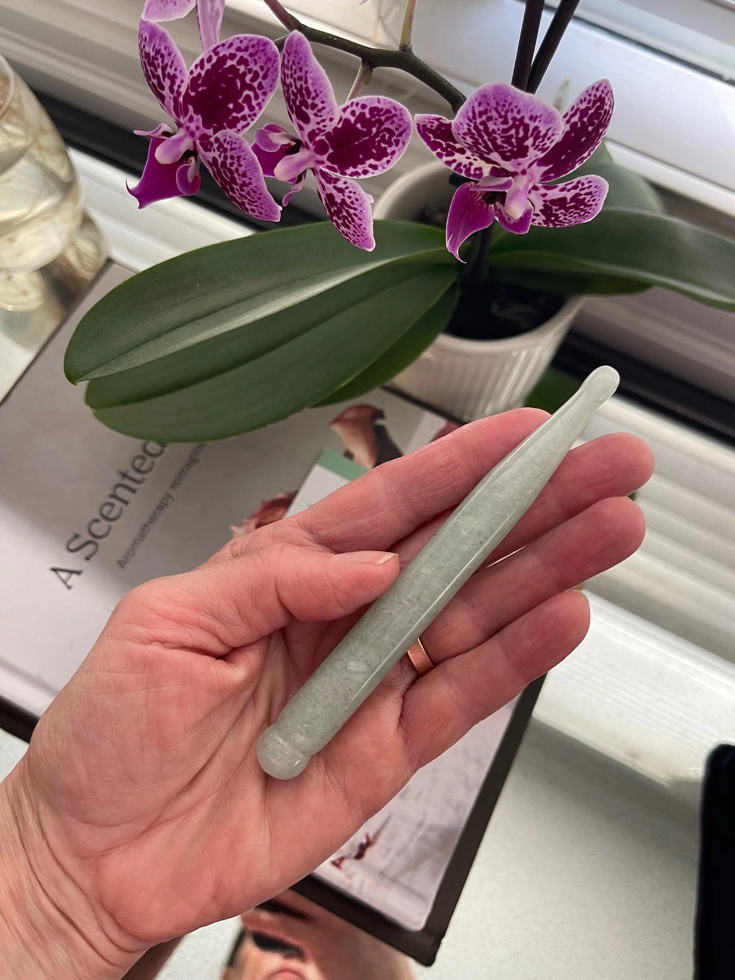 Close-up of a hand holding a light green gardening tool in front of a potted orchid with purple and white speckled flowers on a windowsill.