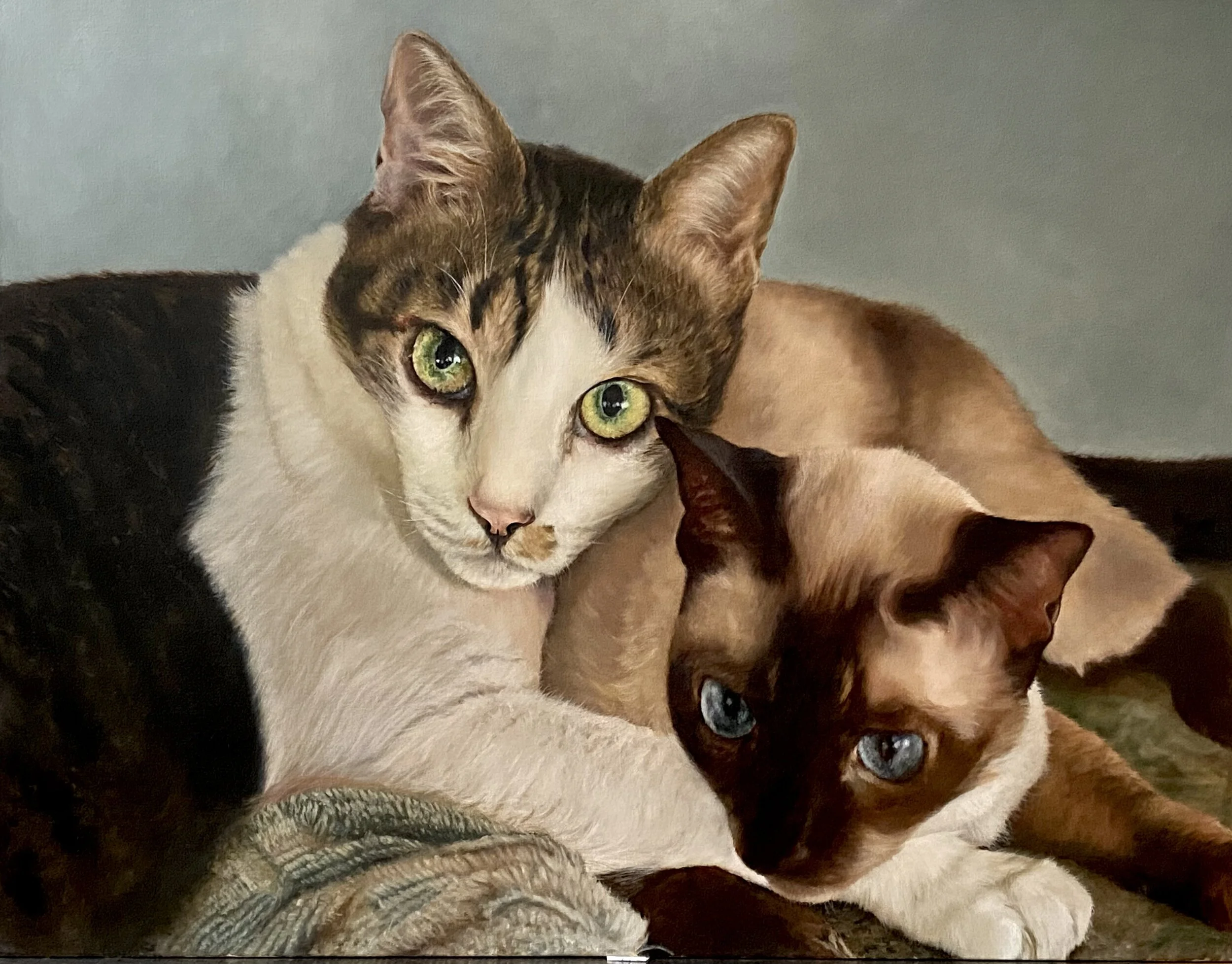 “Pinball and Dolly” commissioned piece