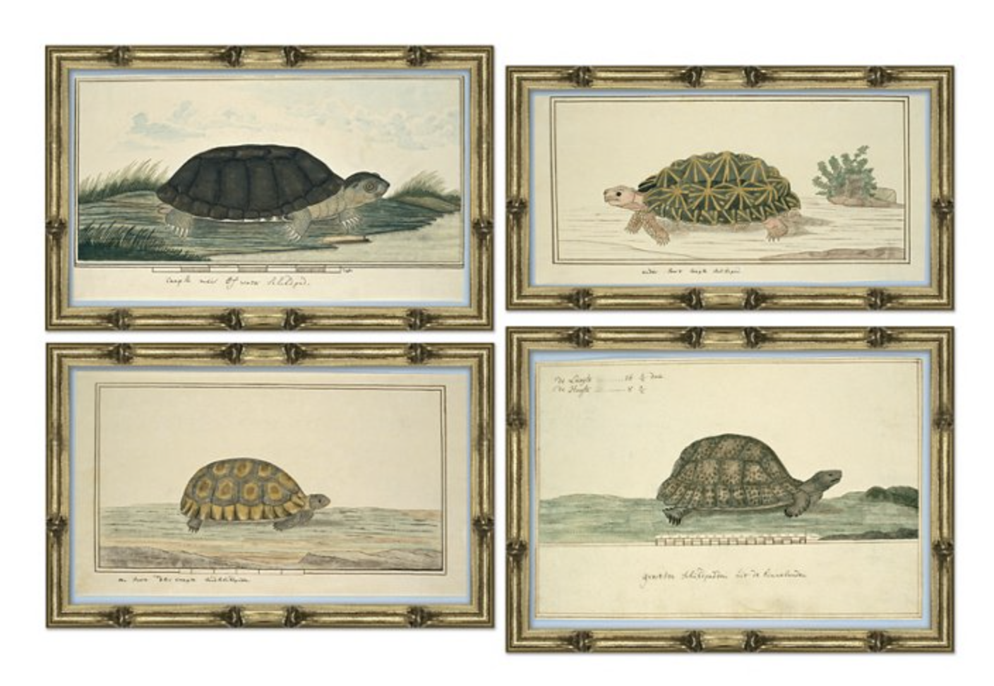 Screen Shot 2021-09-01 at 12.29.19 PM.png