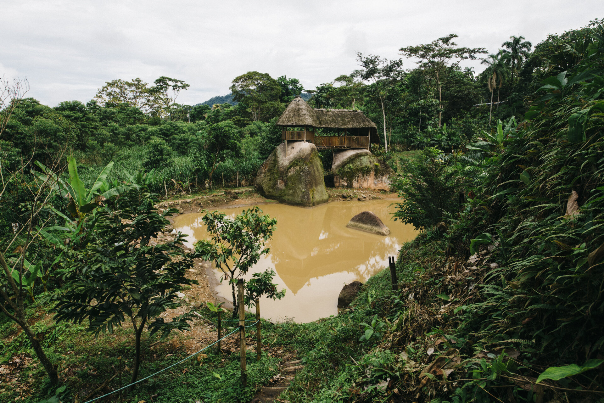 Best Cacao in the World - Ecuador - Pacari - Santa Rita - June 2019 © Genaro Bardy-9.jpg