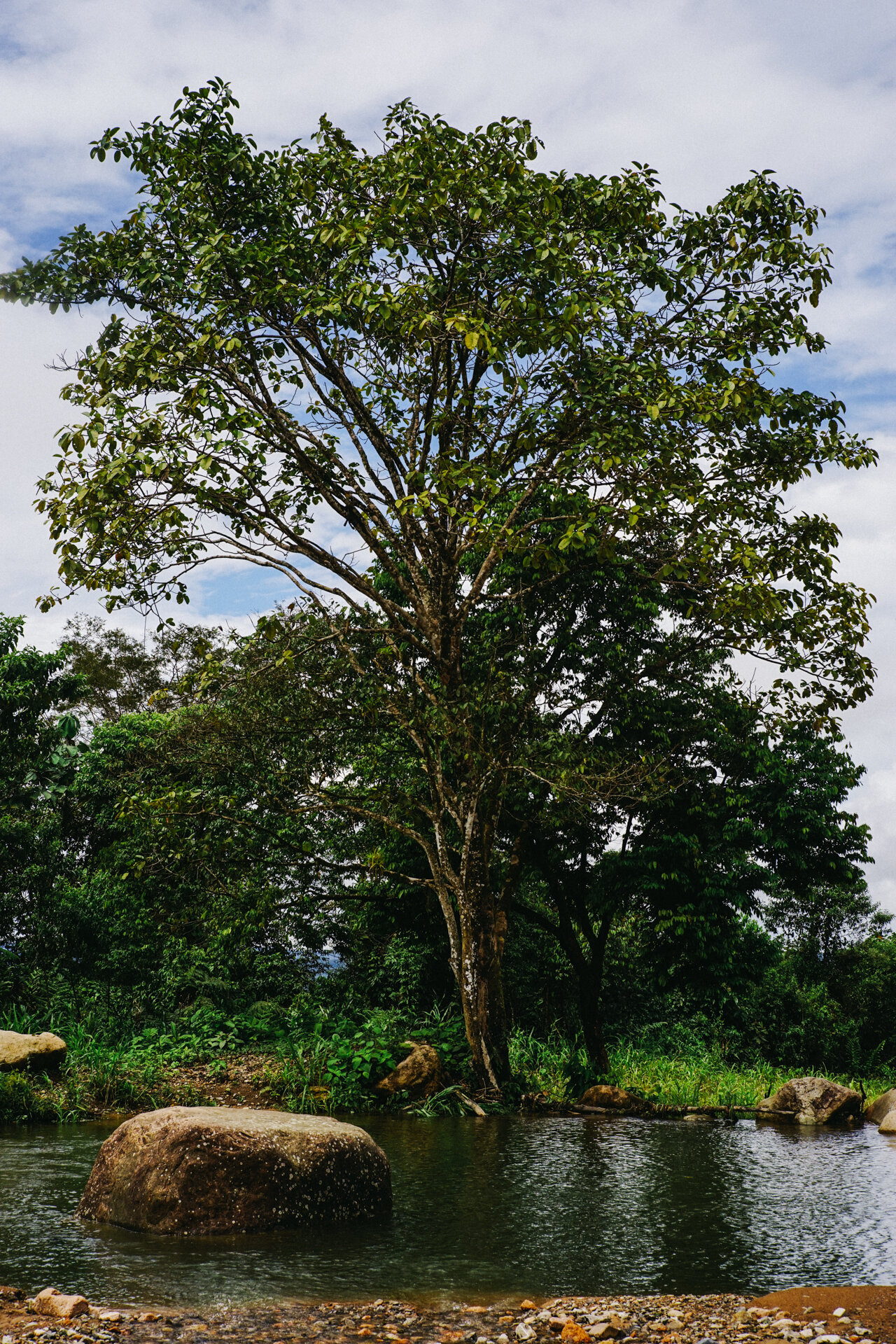 Best Cacao in the World - Ecuador - Pacari - Santa Rita - June 2019 © Genaro Bardy-6.jpg