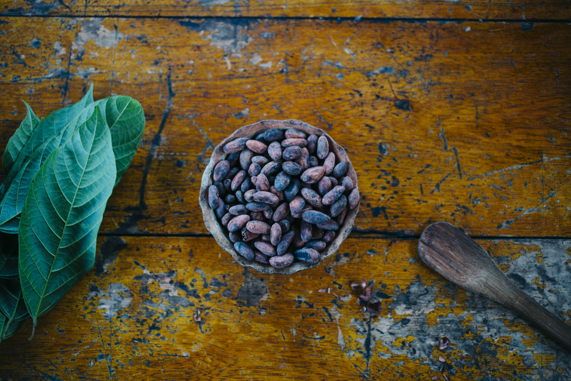 Best Cacao in the World - Ecuador - Pacari - Santa Rita - June 2019 © Genaro Bardy-11.jpg