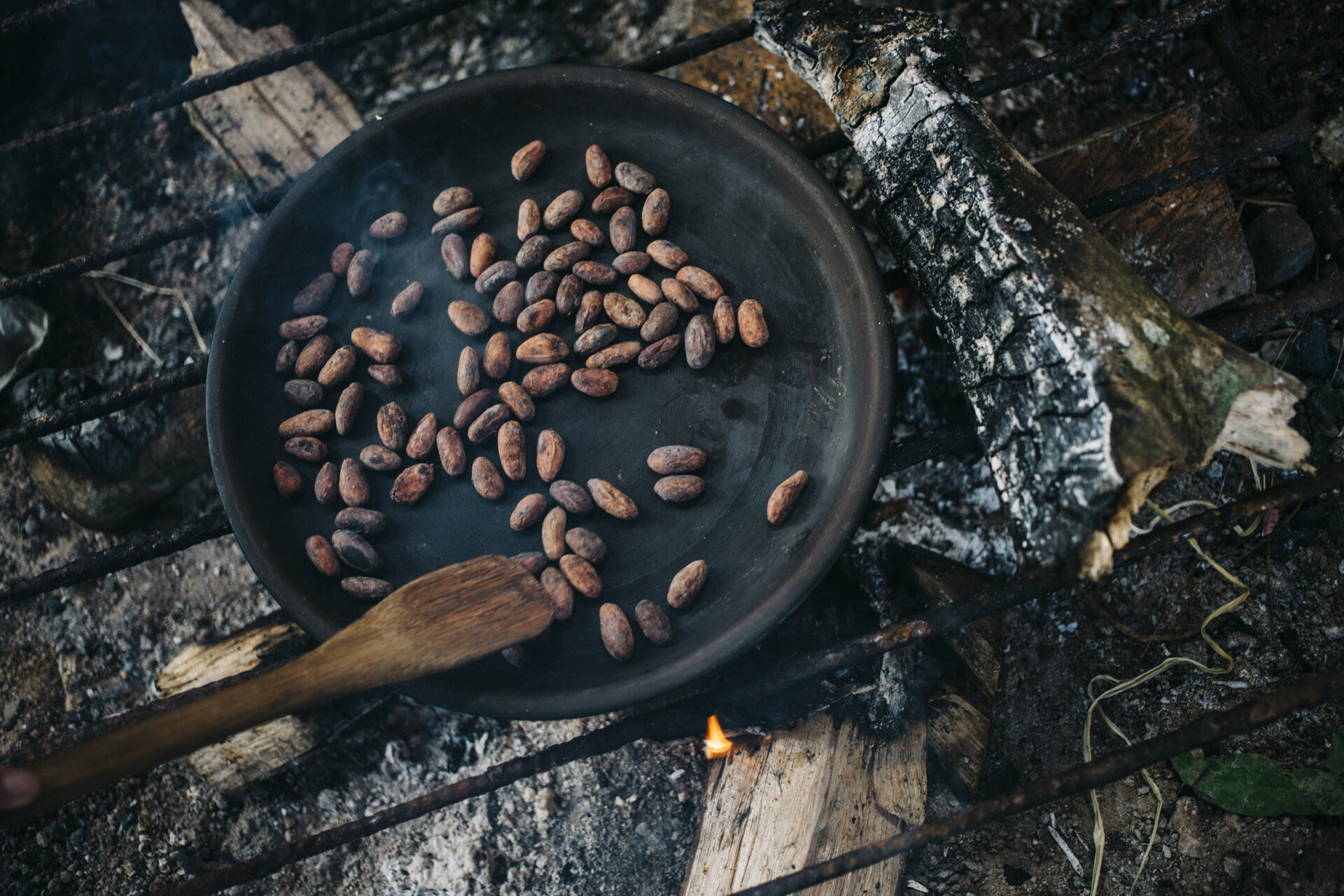 Best Cacao in the World - Ecuador - Pacari - Santa Rita - June 2019 © Genaro Bardy-13.jpg