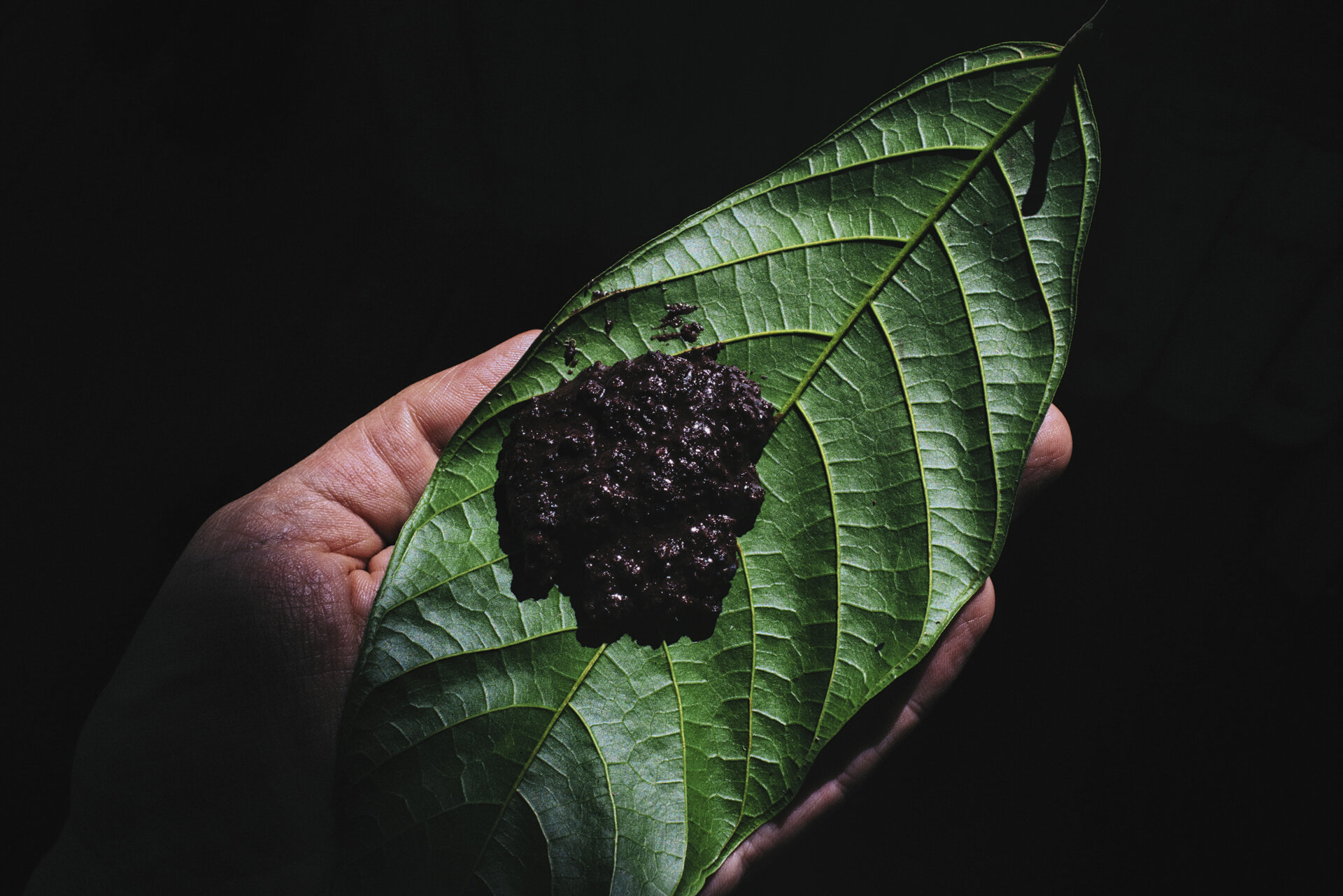 Best Cacao in the World - Ecuador - Pacari - Santa Rita - June 2019 © Genaro Bardy-17.jpg