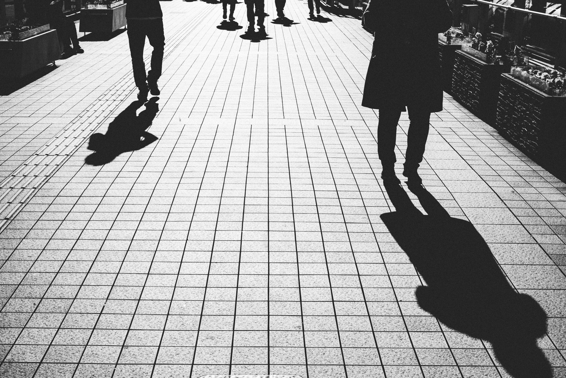 Tokyo, 2018 - Photo Genaro Bardy