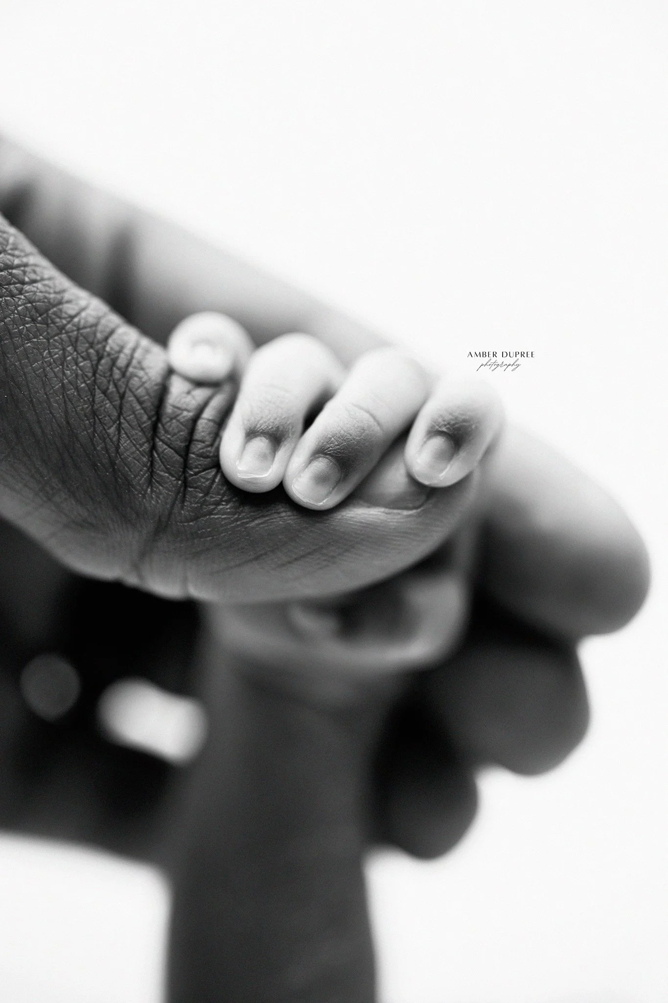 newborn photographer; newborn photography; baby photographer; baby photography; best baby photographer; best newborn photographer; nashville newborn photographer; nashville baby photographer; nashville maternity photographer; timeless newborn photogr