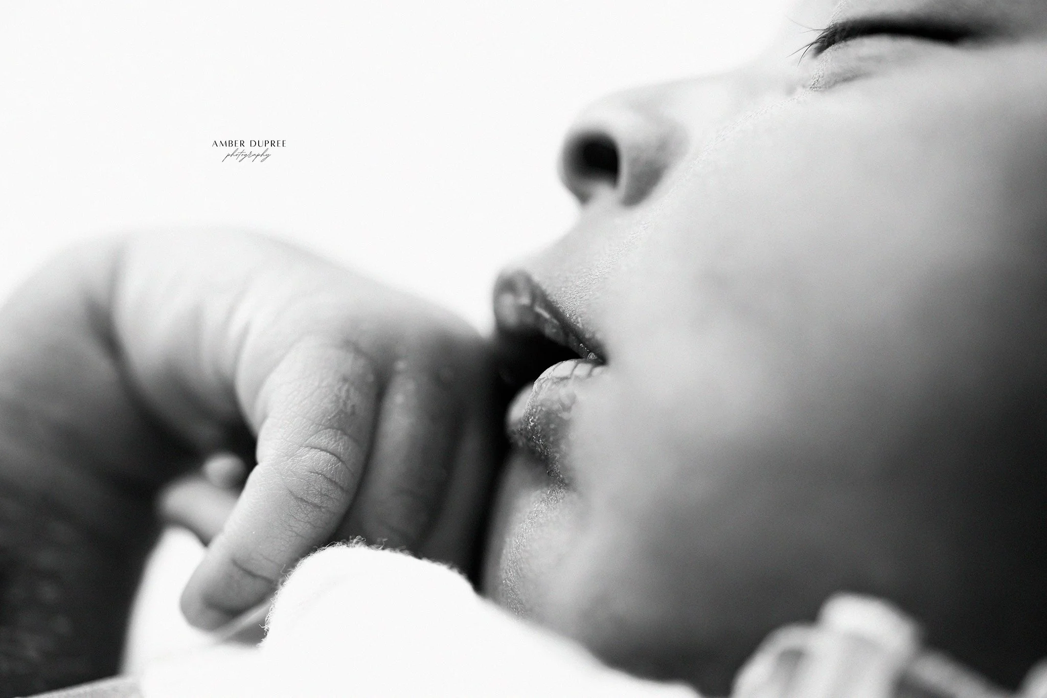 newborn photographer near Nashville