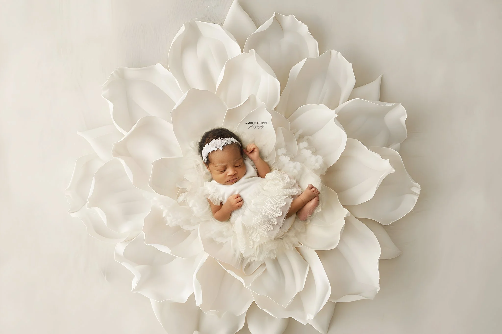 🌸 Wrapped in petals and love 🌸 

There&rsquo;s nothing more pure than the beauty of new life. This little one rests gently in a soft white bloom, reminding us that the tiniest moments are often the most powerful. Timeless, delicate, and full of gra