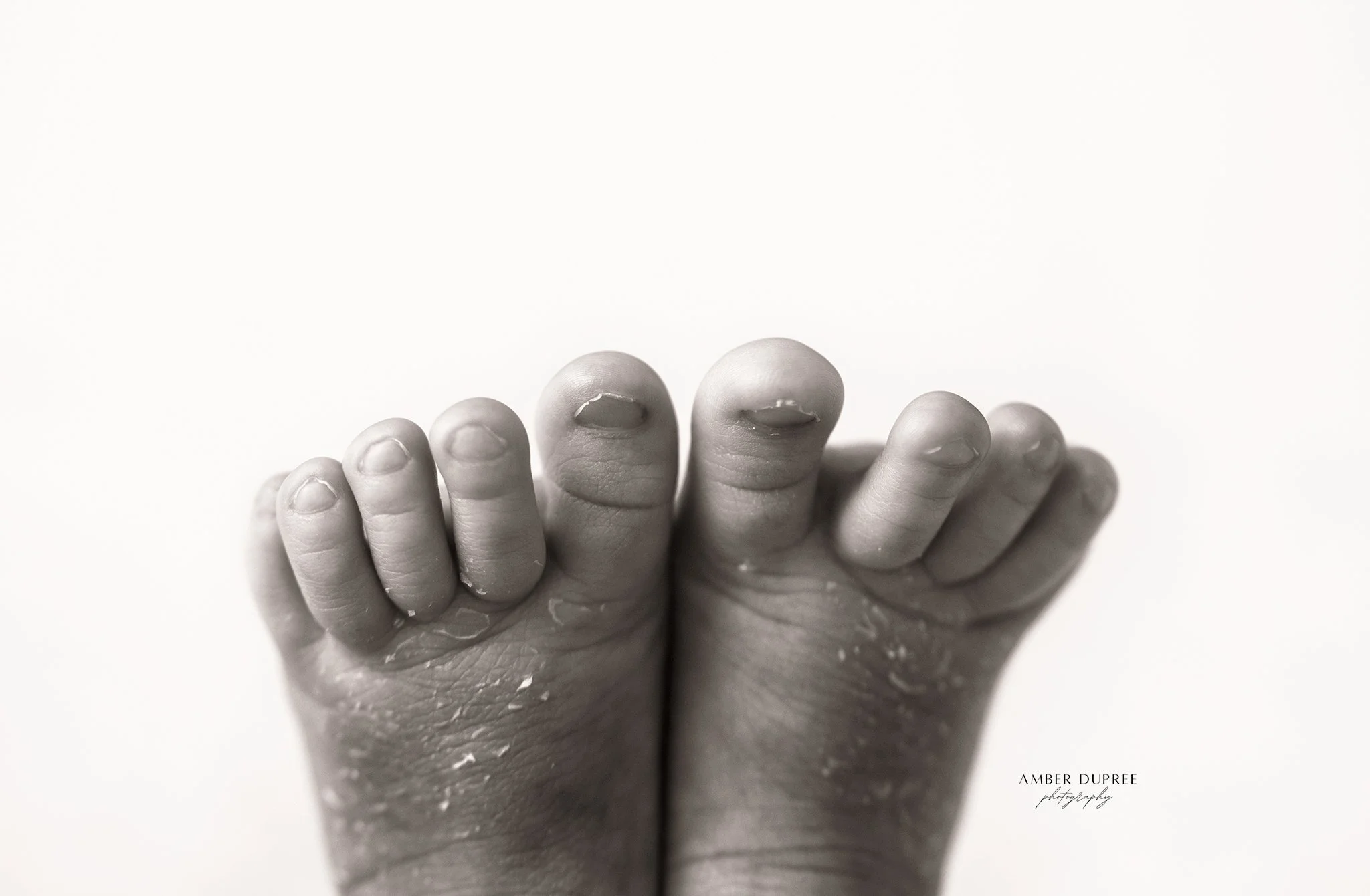 Studio newborn portrait in Nashville showing baby’s tiny fingers and toes in close detail