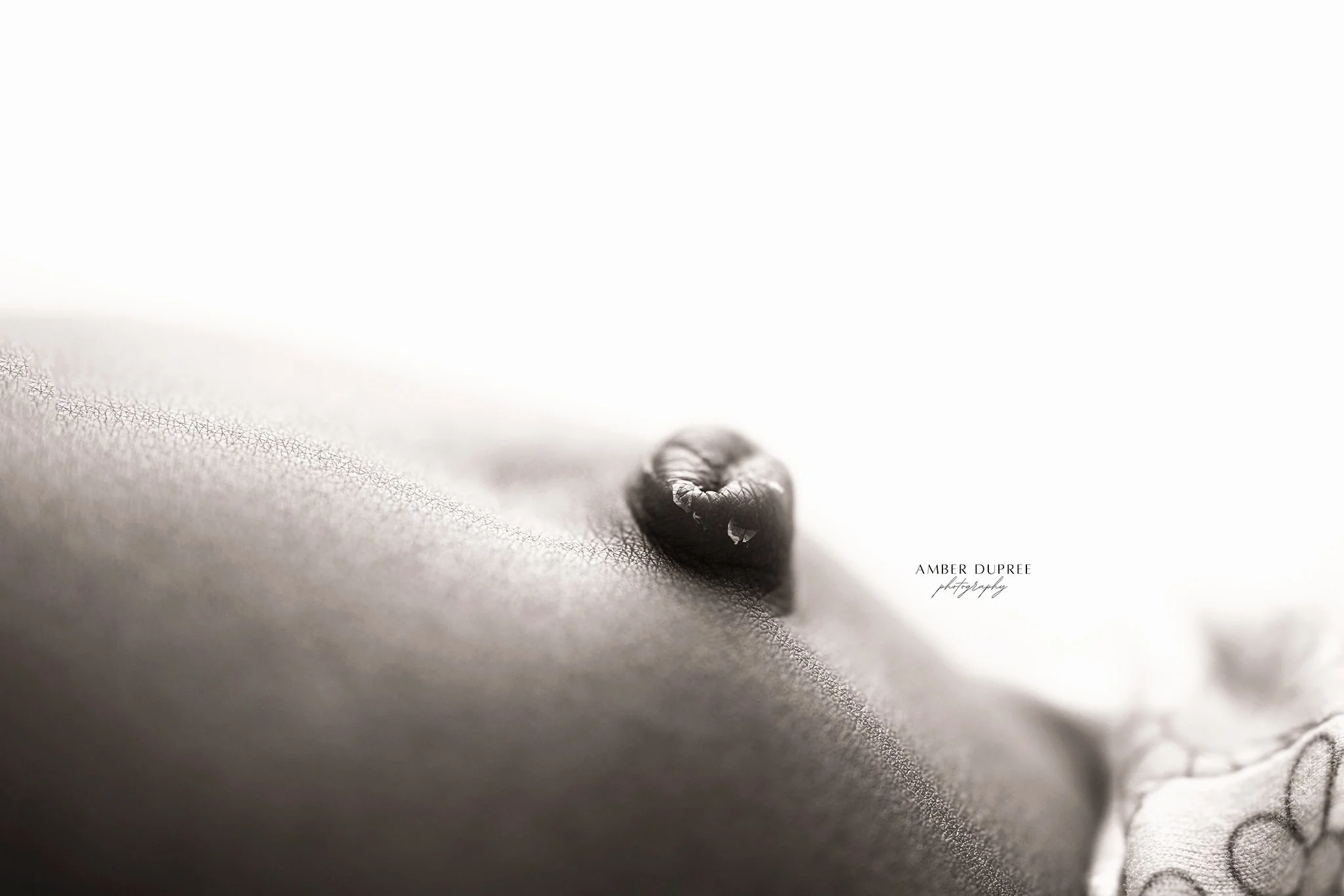 Studio newborn portrait in Nashville showing baby’s tiny belly button in close detail