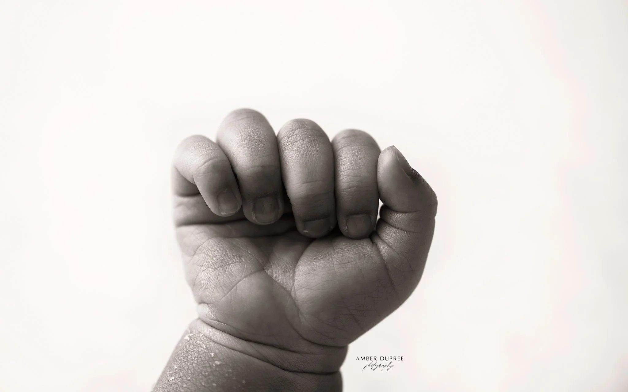 Studio newborn portrait in Nashville showing baby’s tiny fingers and toes in close detail