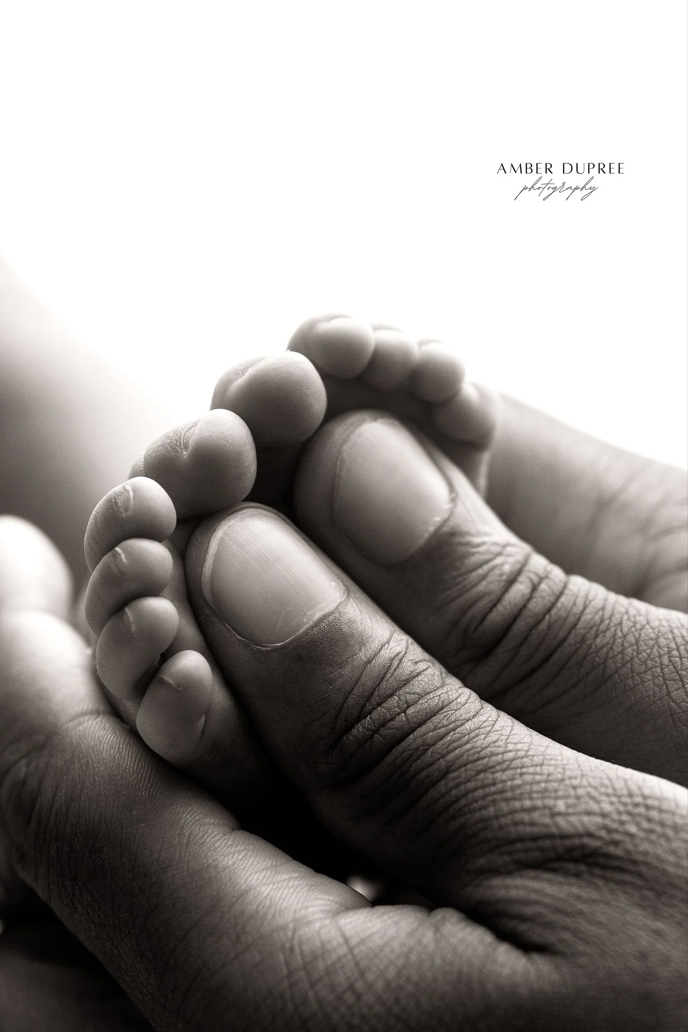 franklin-tn-newborn-photographer.jpg