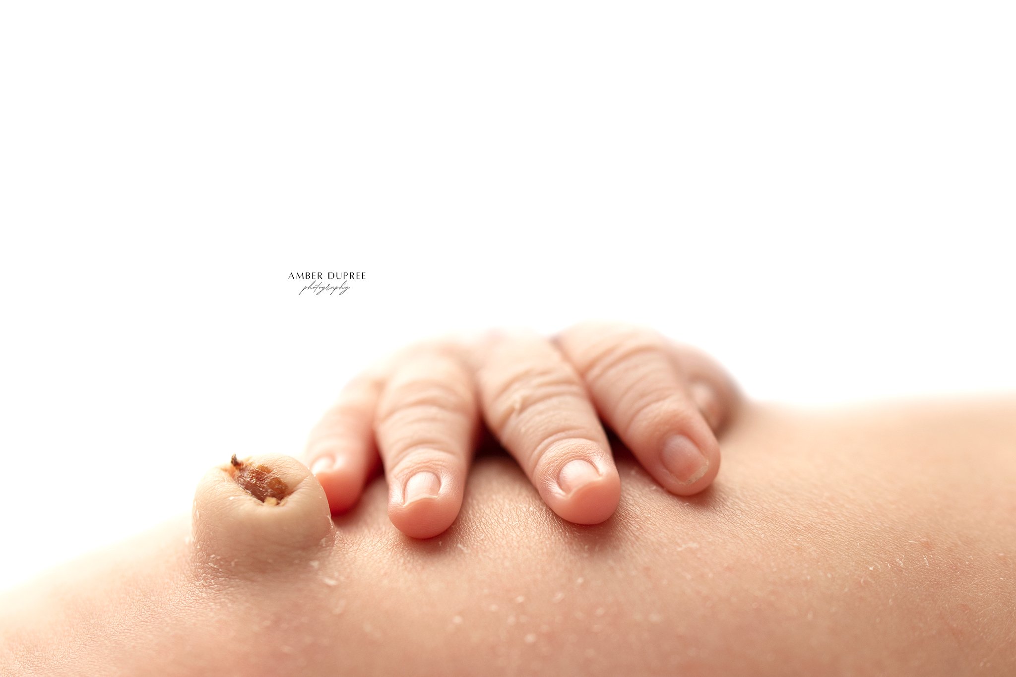 newborn photographer; newborn photography; baby photographer; baby photography; best baby photographer; best newborn photographer; nashville newborn photographer; nashville baby photographer; nashville maternity photographer; timeless newborn photogr