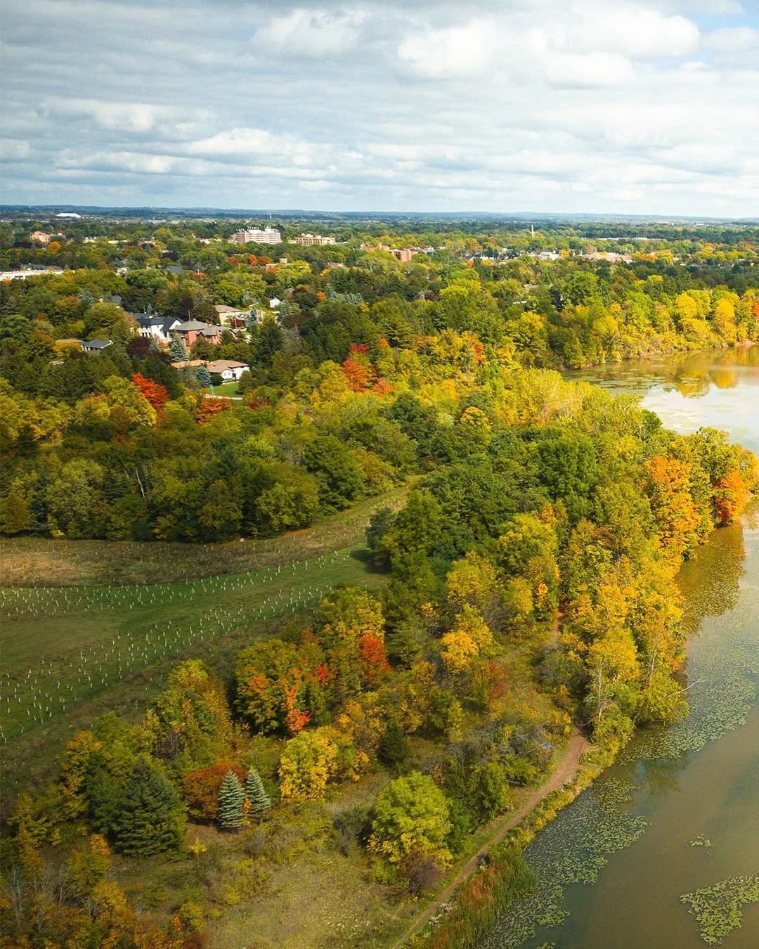 Some more colours of autumn from above. 🍁🍂
What's your favourite season? 

#fall #dronephotography #fallphoto
