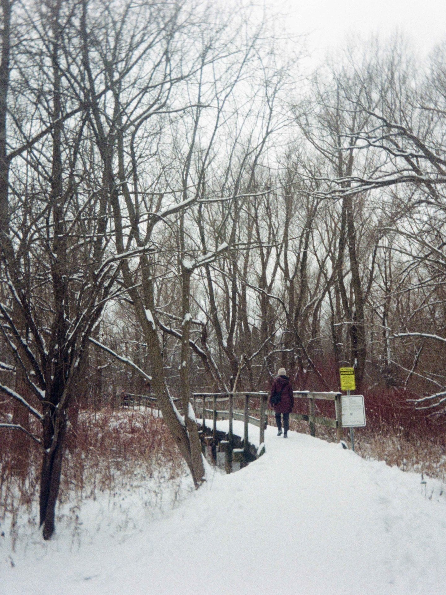 Winter on film. 🥶❄️
Kodak Gold 200.