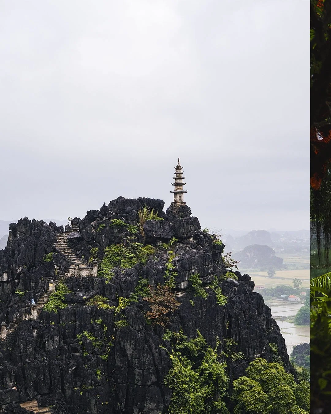 Hang Mua: rice paddies, stone steps, limestone mountains. 👌
📷: OM 3