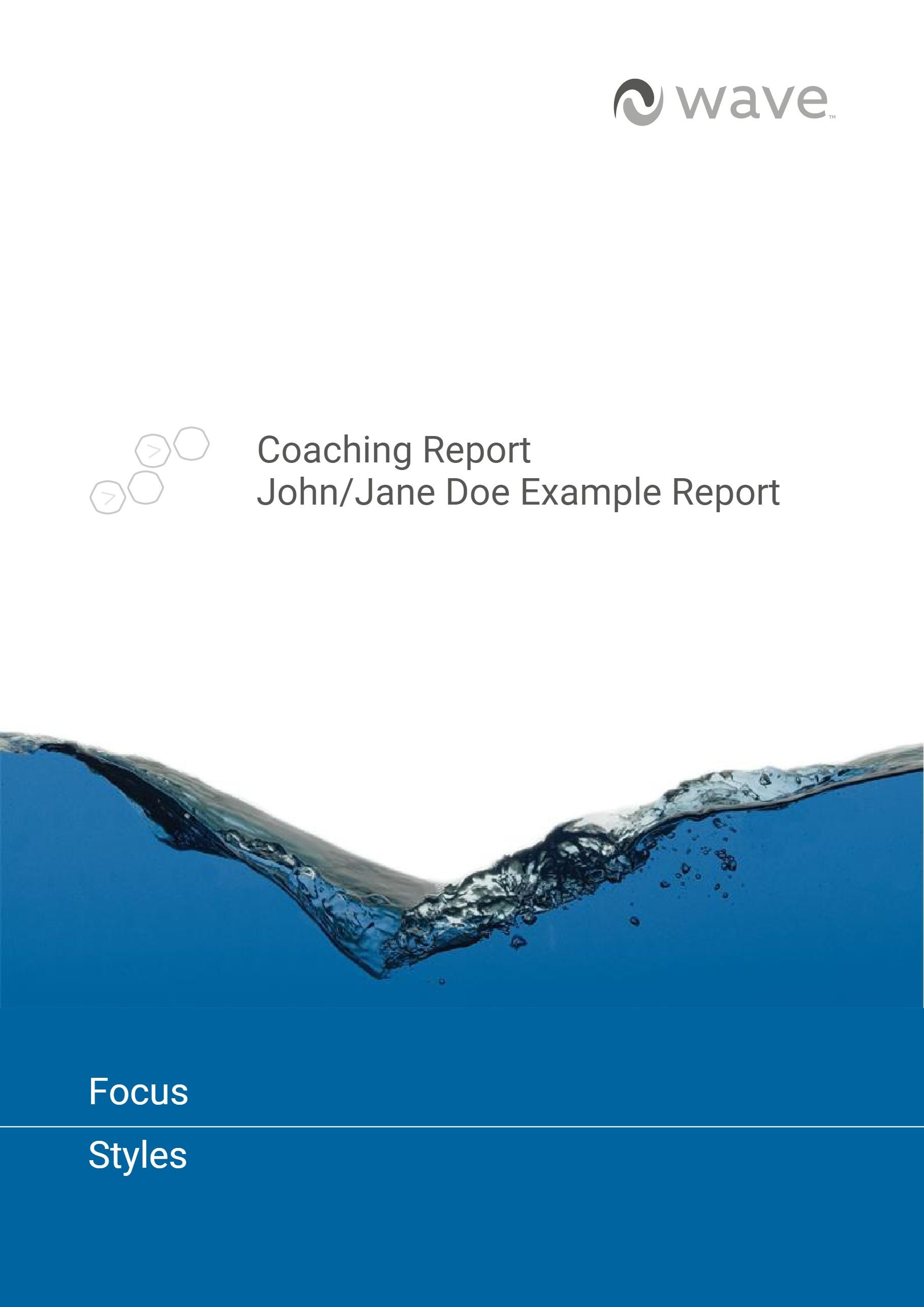 Example - Focus Styles Coaching Report-1.jpg