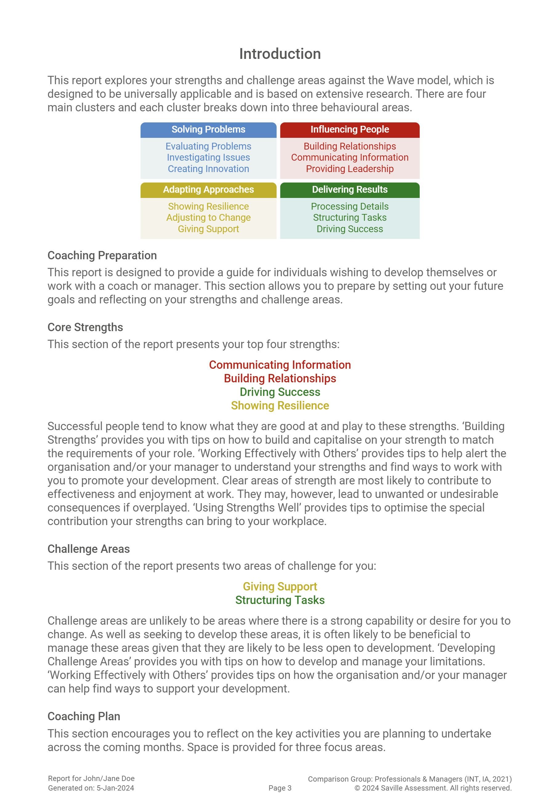 Example - Focus Styles Coaching Report-3.jpg