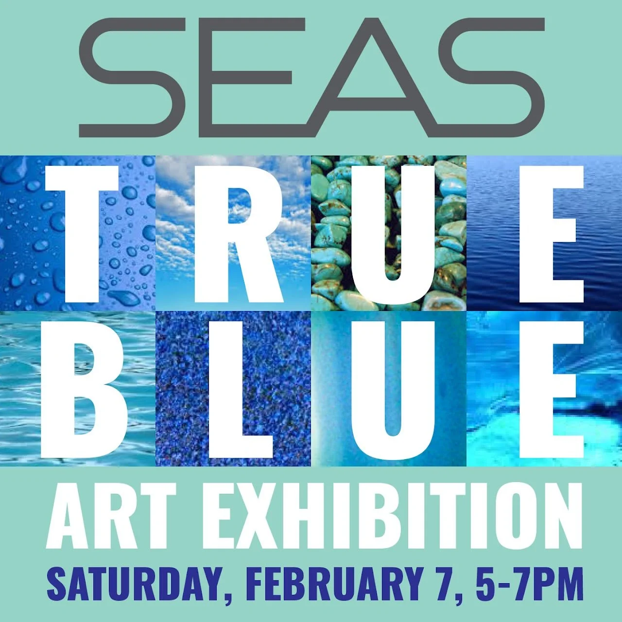 Sister studio, Sarasota East Artist Studios (SEAS) will be open to the public on Saturday, February 7, from 5-7pm. See artwork on exhibit by Barbara Gerdeman.