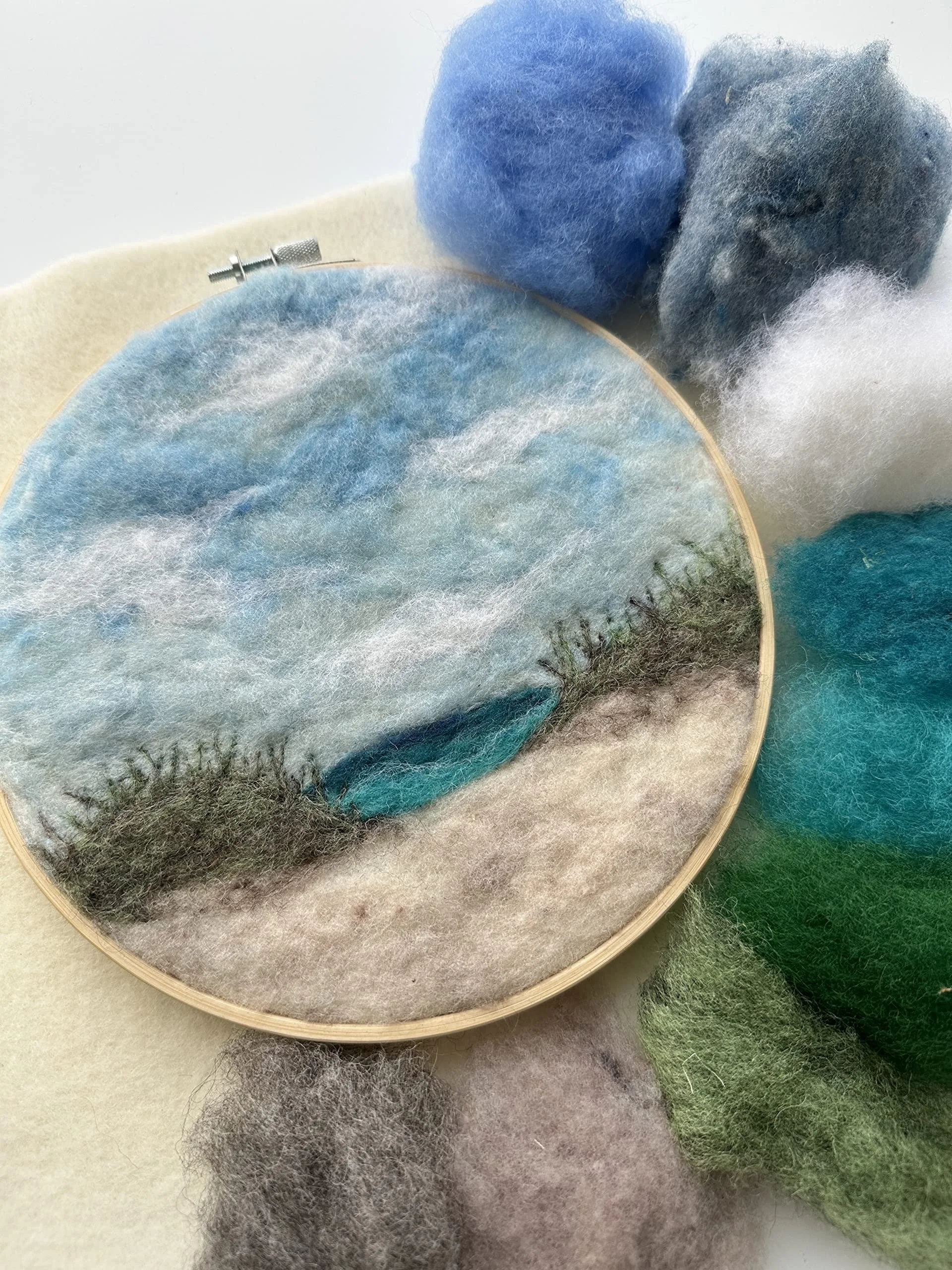 Felting Workshop Series with Lisa Lombardi
Jan 12 - Feb 9 (5 weeks)
New Project Each Week