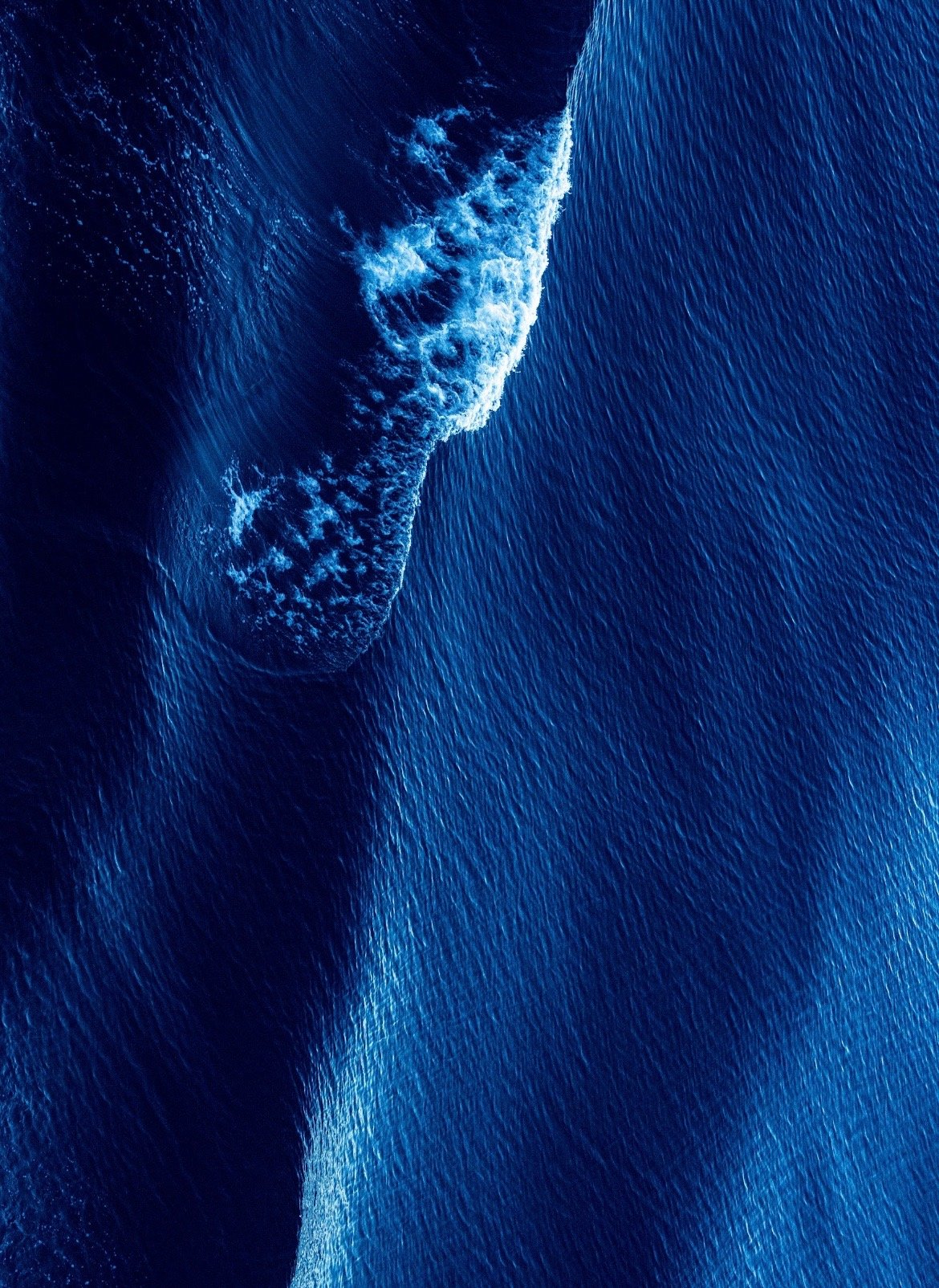 Barbara Gerdeman's artwork Into The Deep, photography on metal at SEAS True Blue Exhibition.