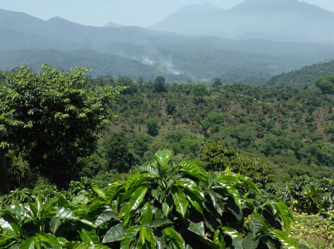 Guatemala pic 1.jpg