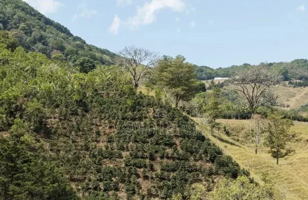 Costa Rica pic 1.jpg