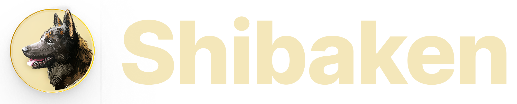 Community Shibaken Finance