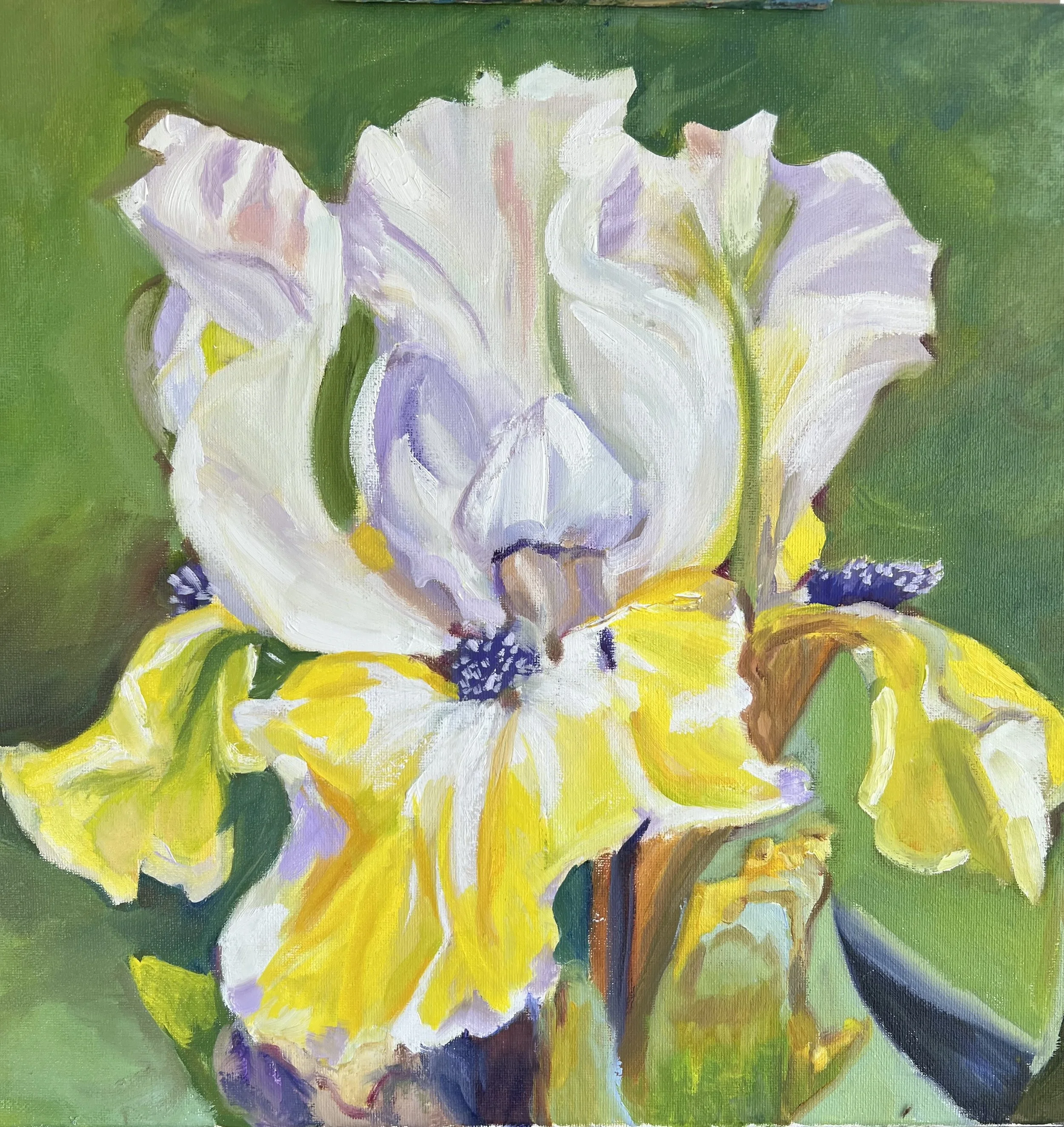 iris.jpeg