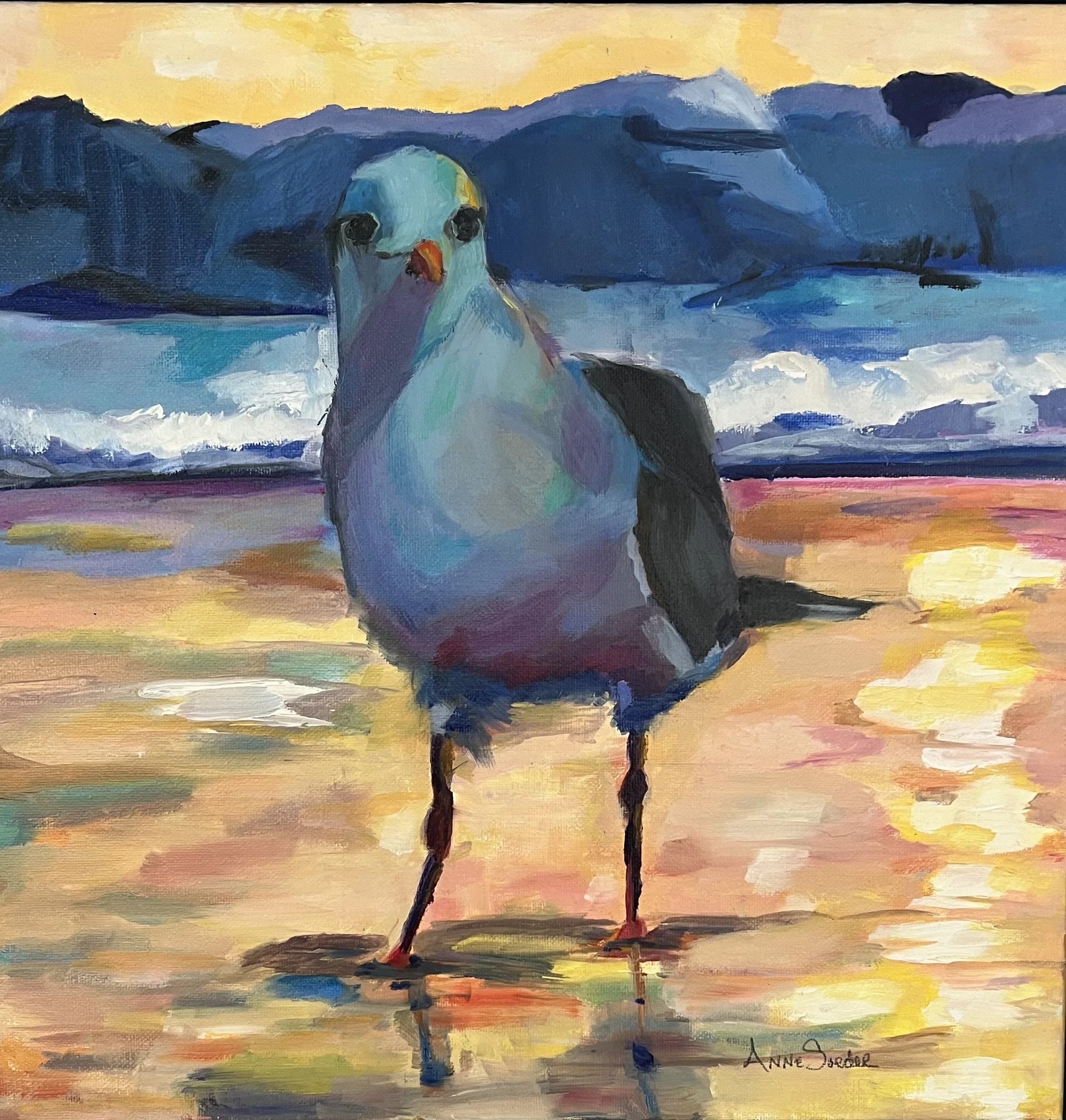 Seagull.jpeg