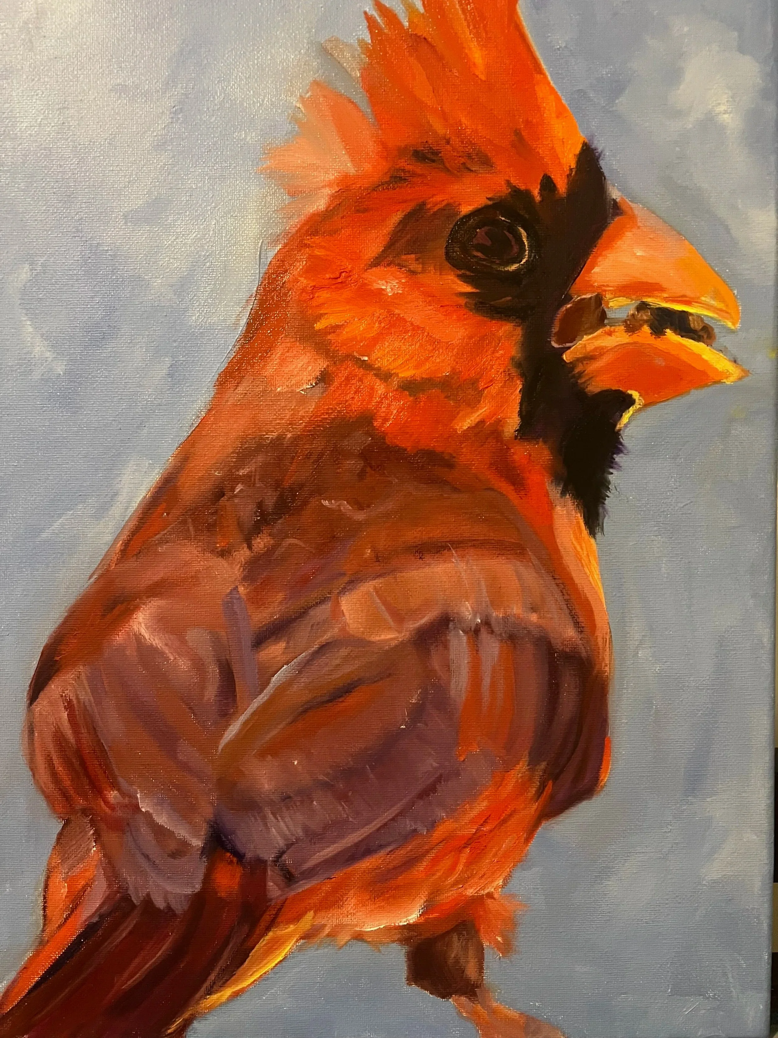 Cardinal.jpg