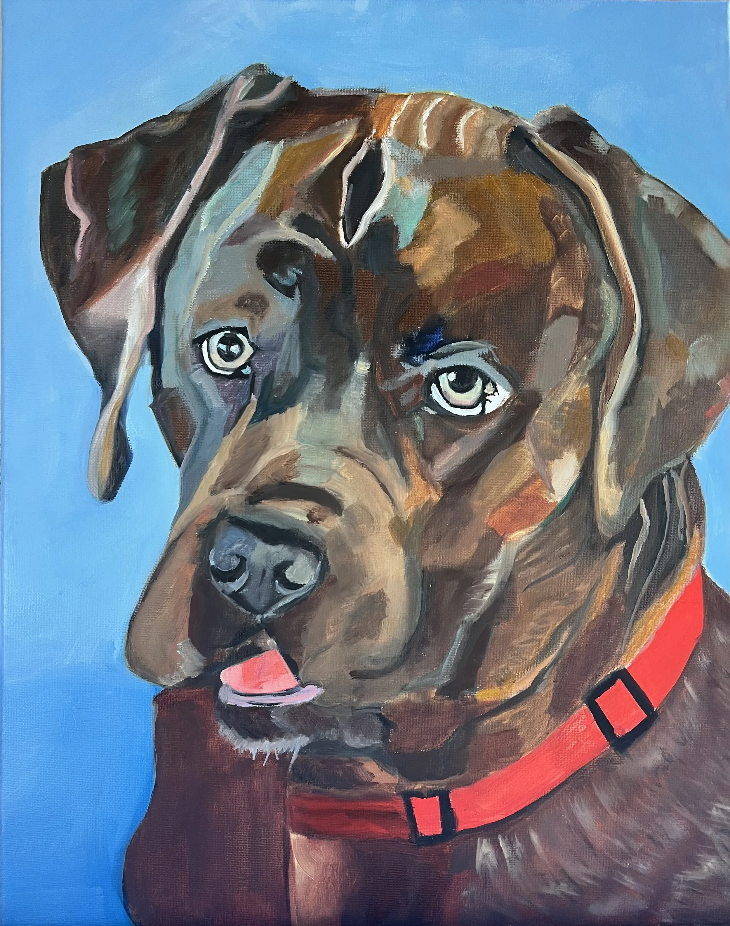 Cane Corso.jpeg