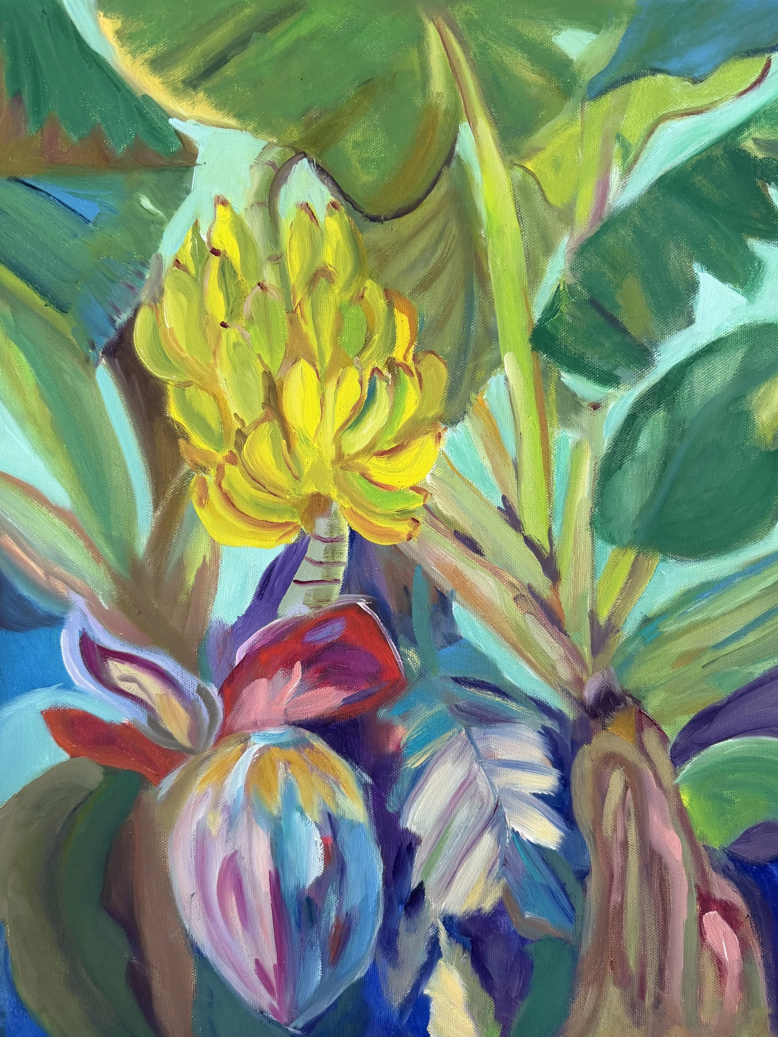Banana Tree.jpeg