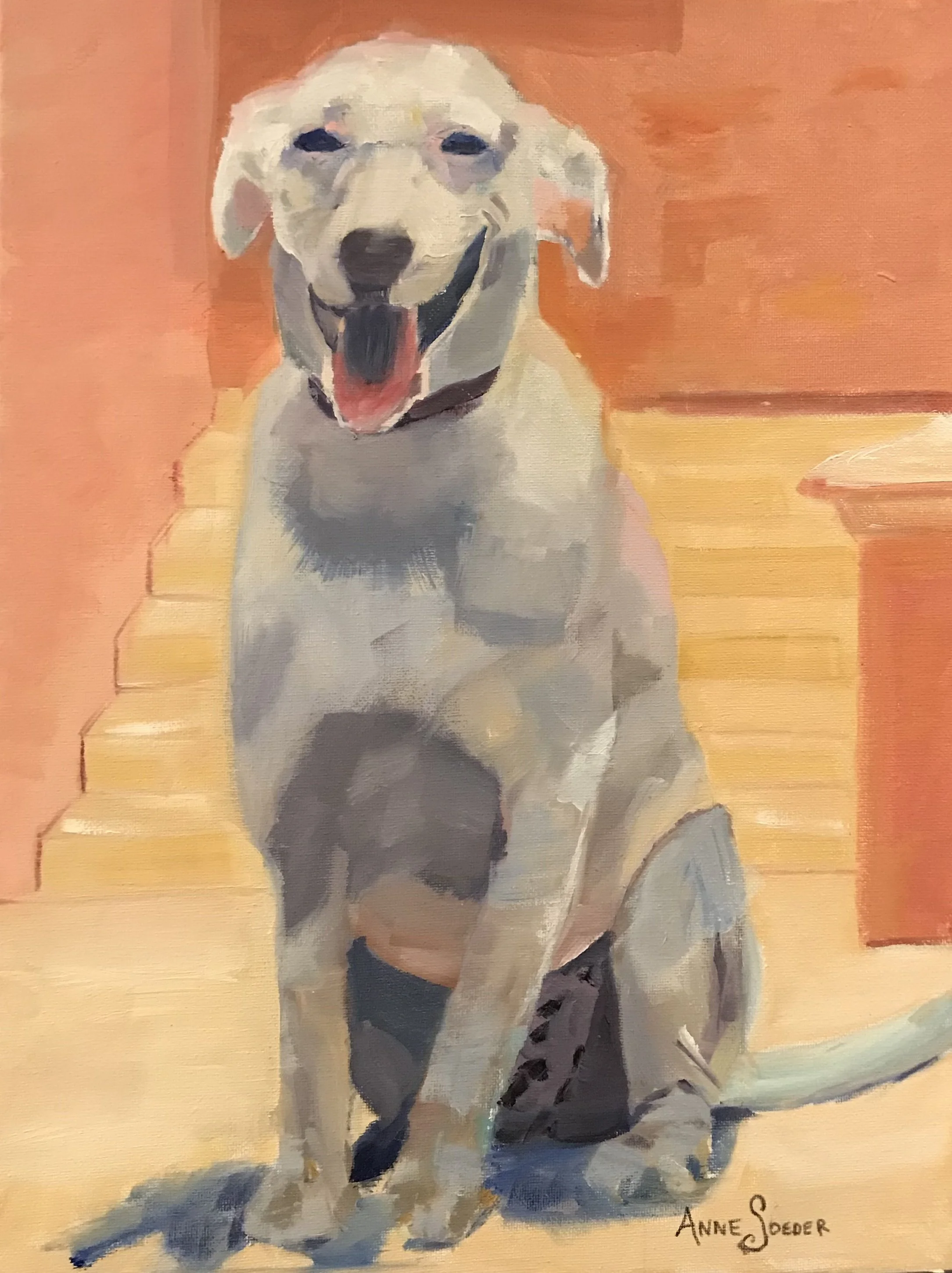 Pet Portrait - Tylerys Dog.jpeg
