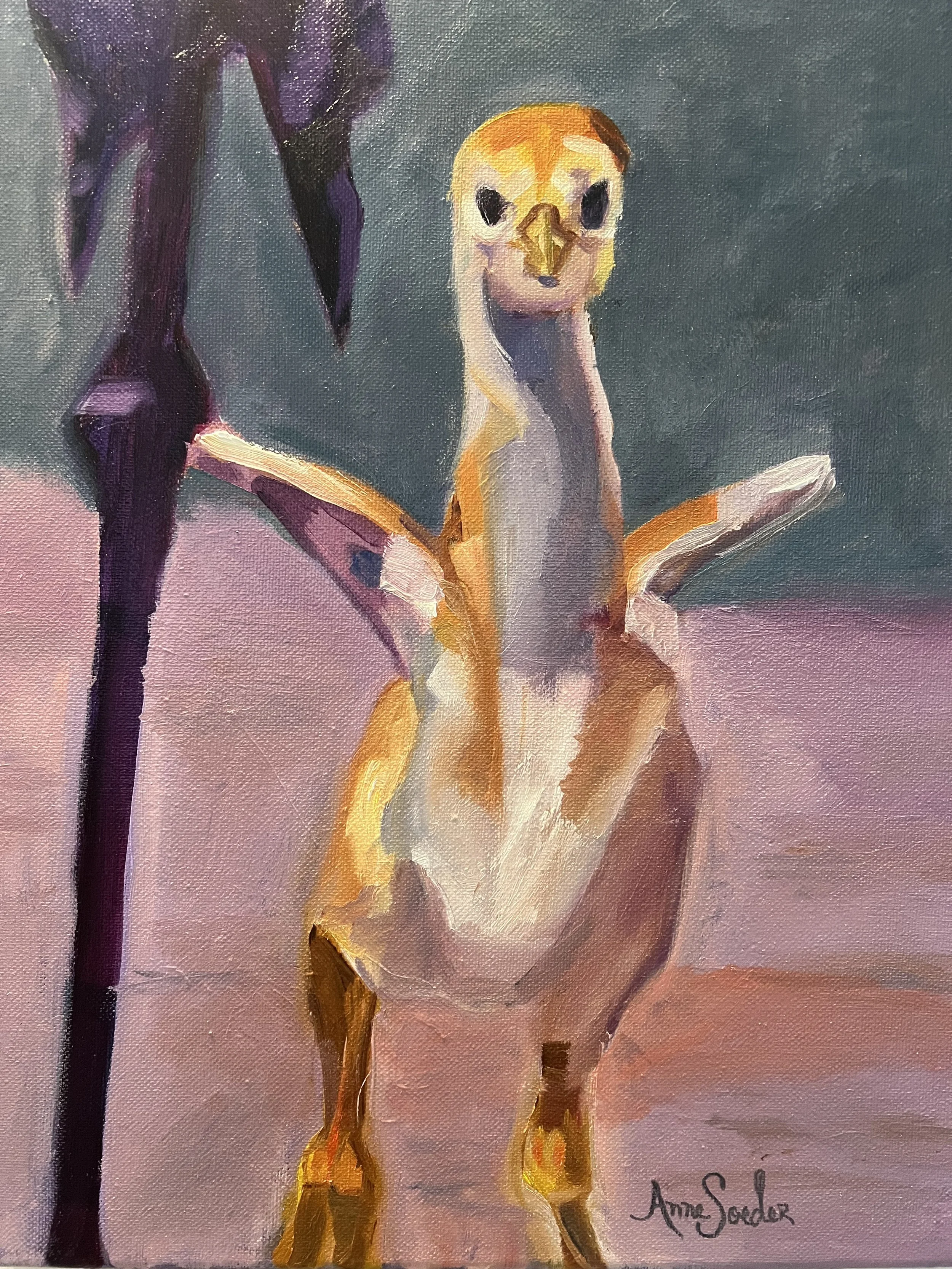 Baby crane.jpeg