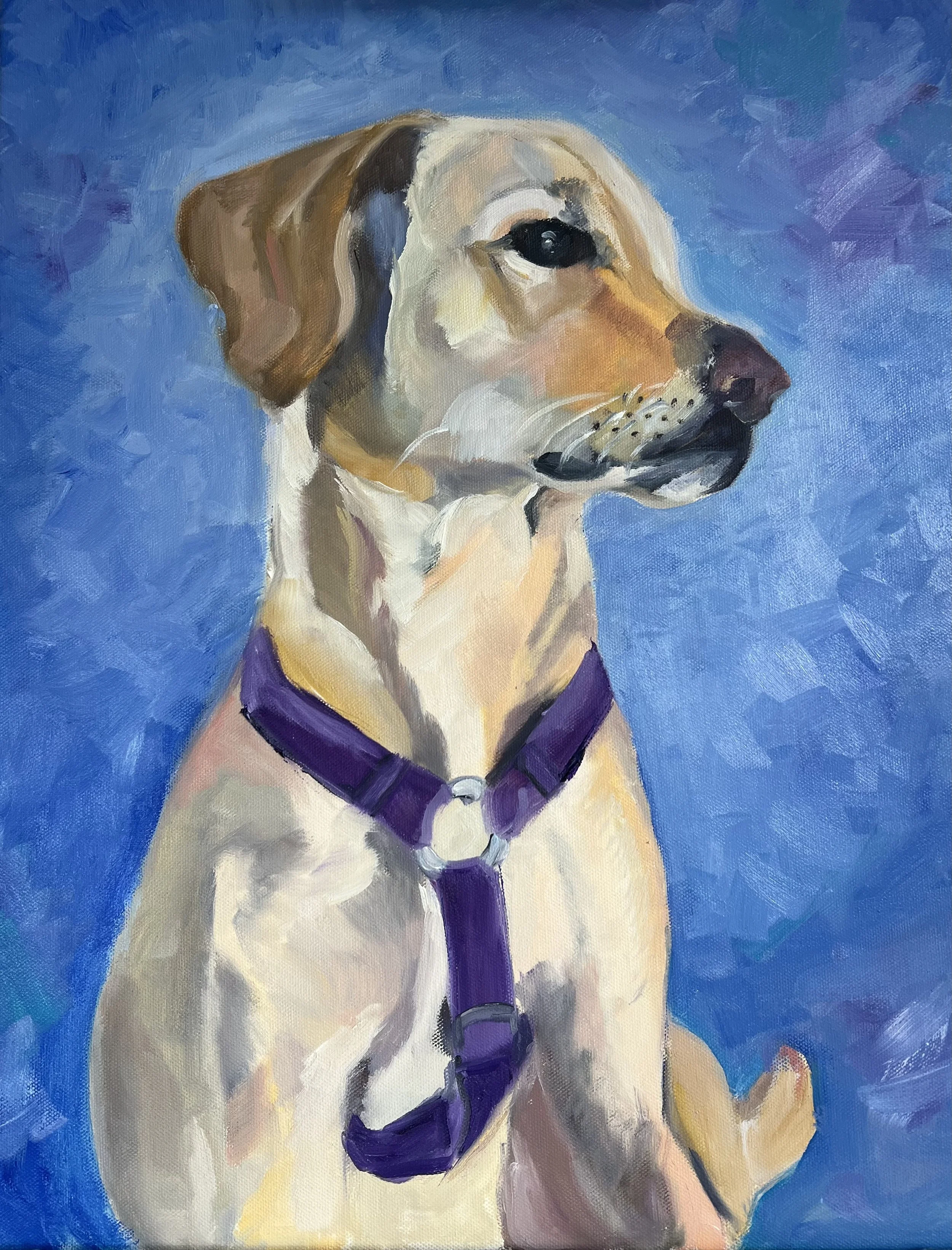 Pet Portrait - Kalils dog.jpeg