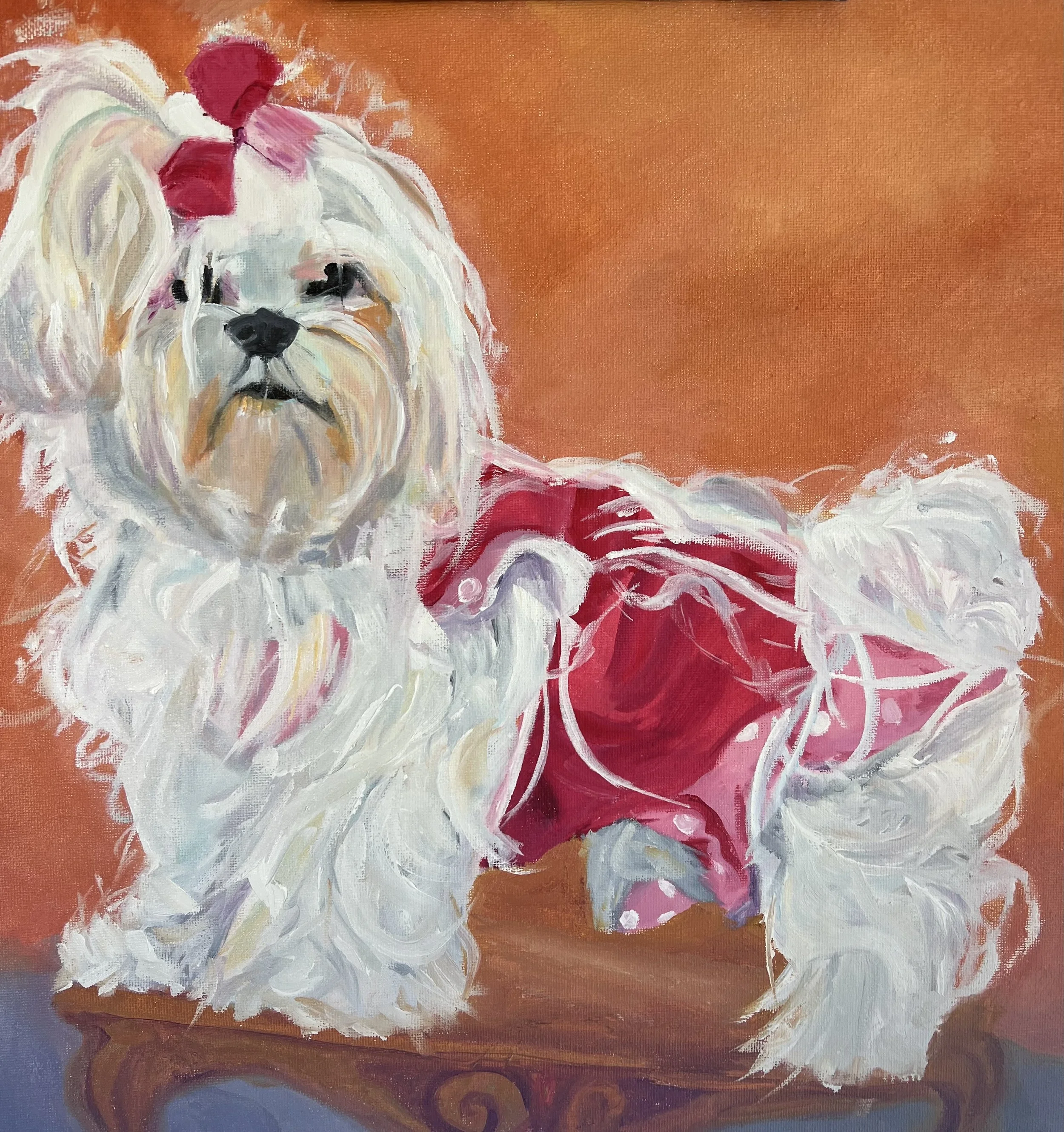 Pet Portrait - Poodle in Pink.jpeg