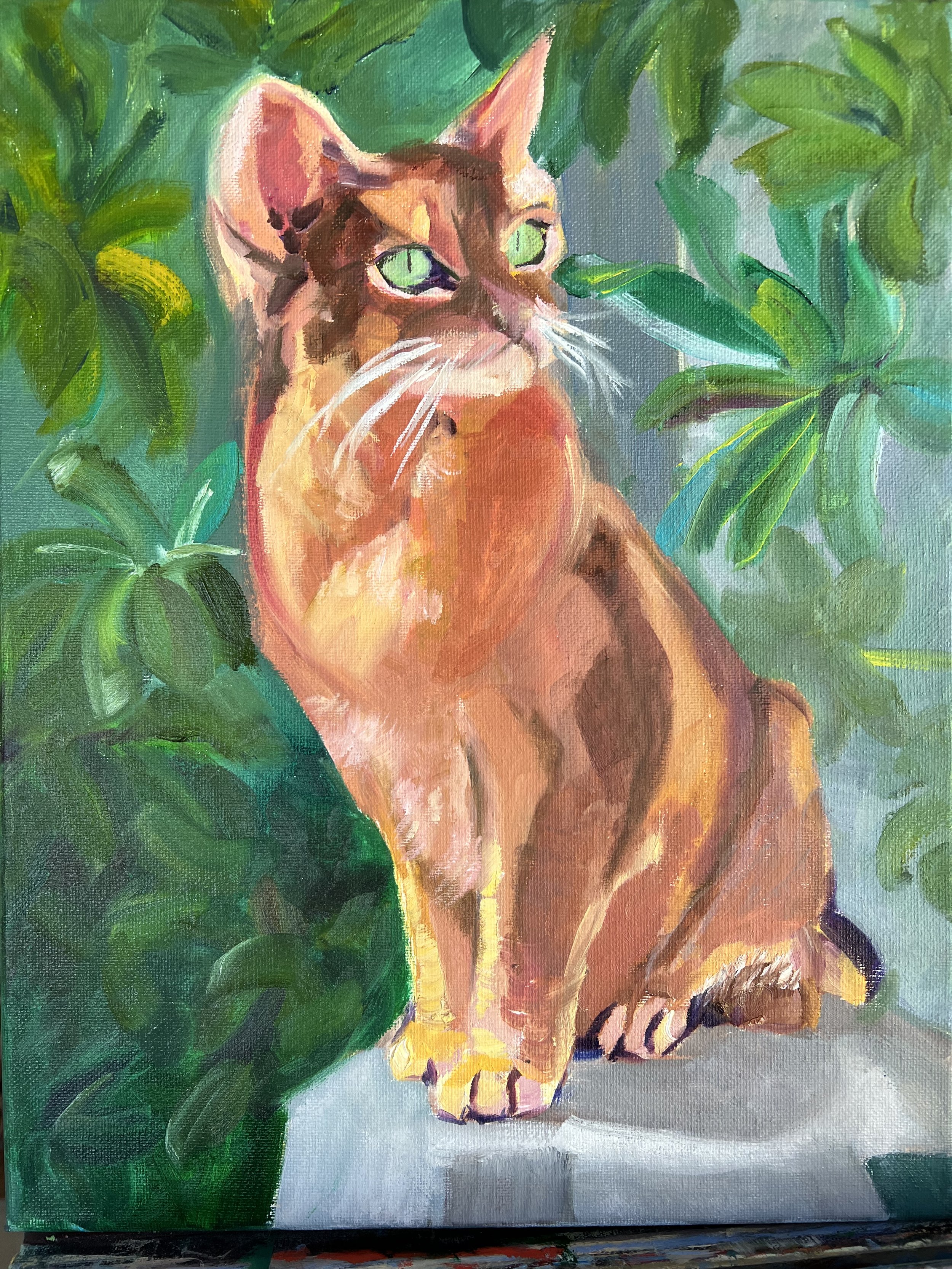Betsys Cat.jpeg
