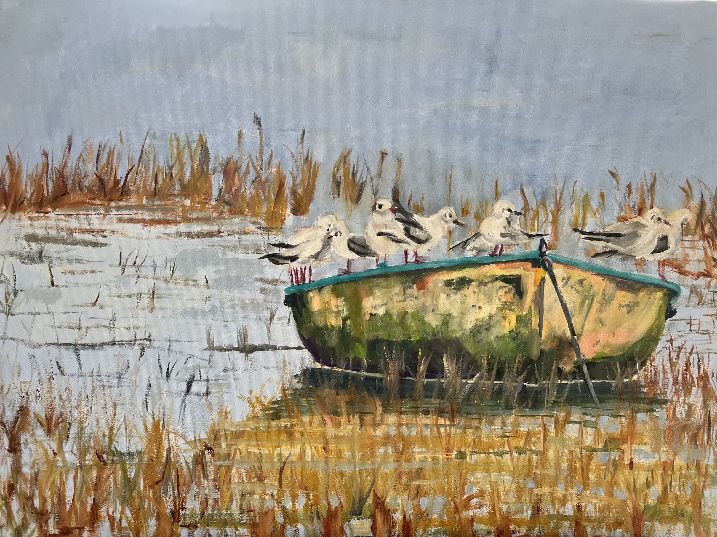 Birds on Boat.jpeg
