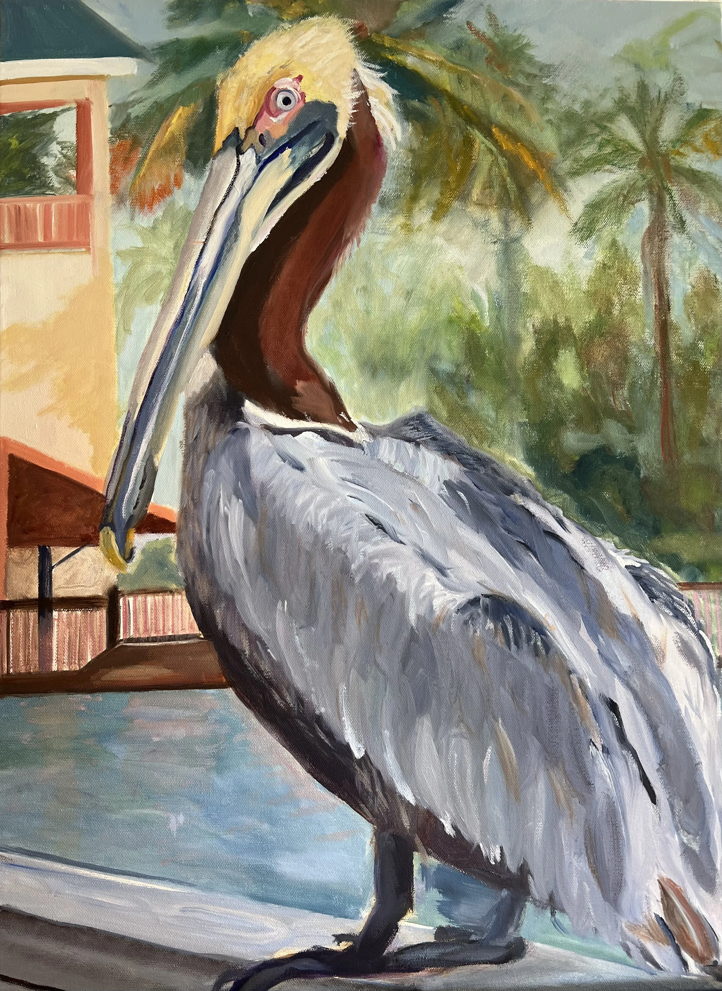 LA pelican.jpeg