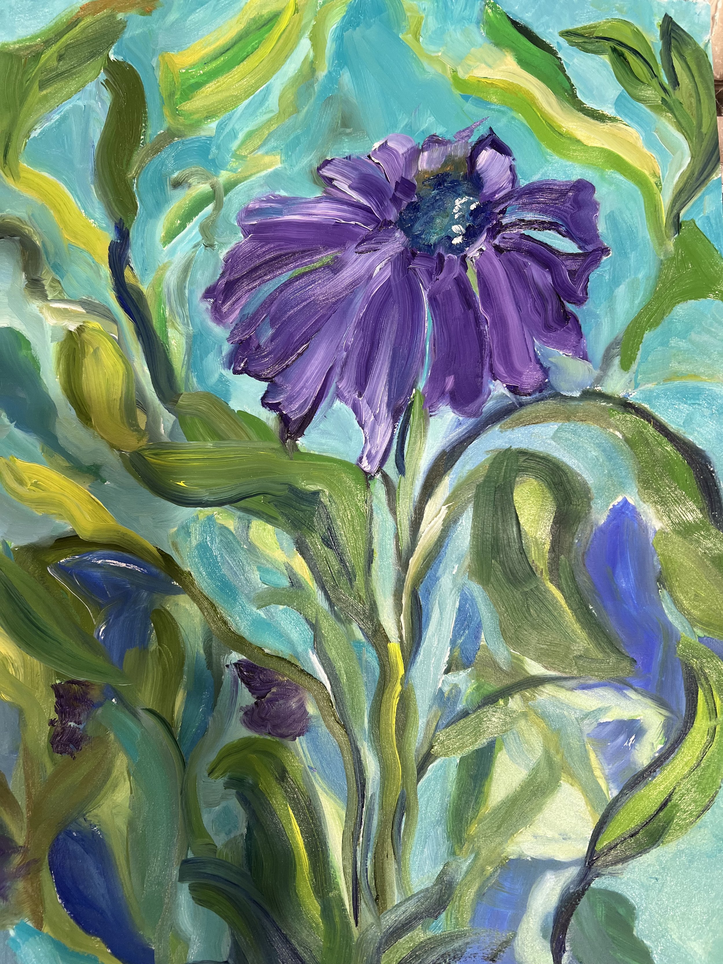 Purple Daisy.jpeg