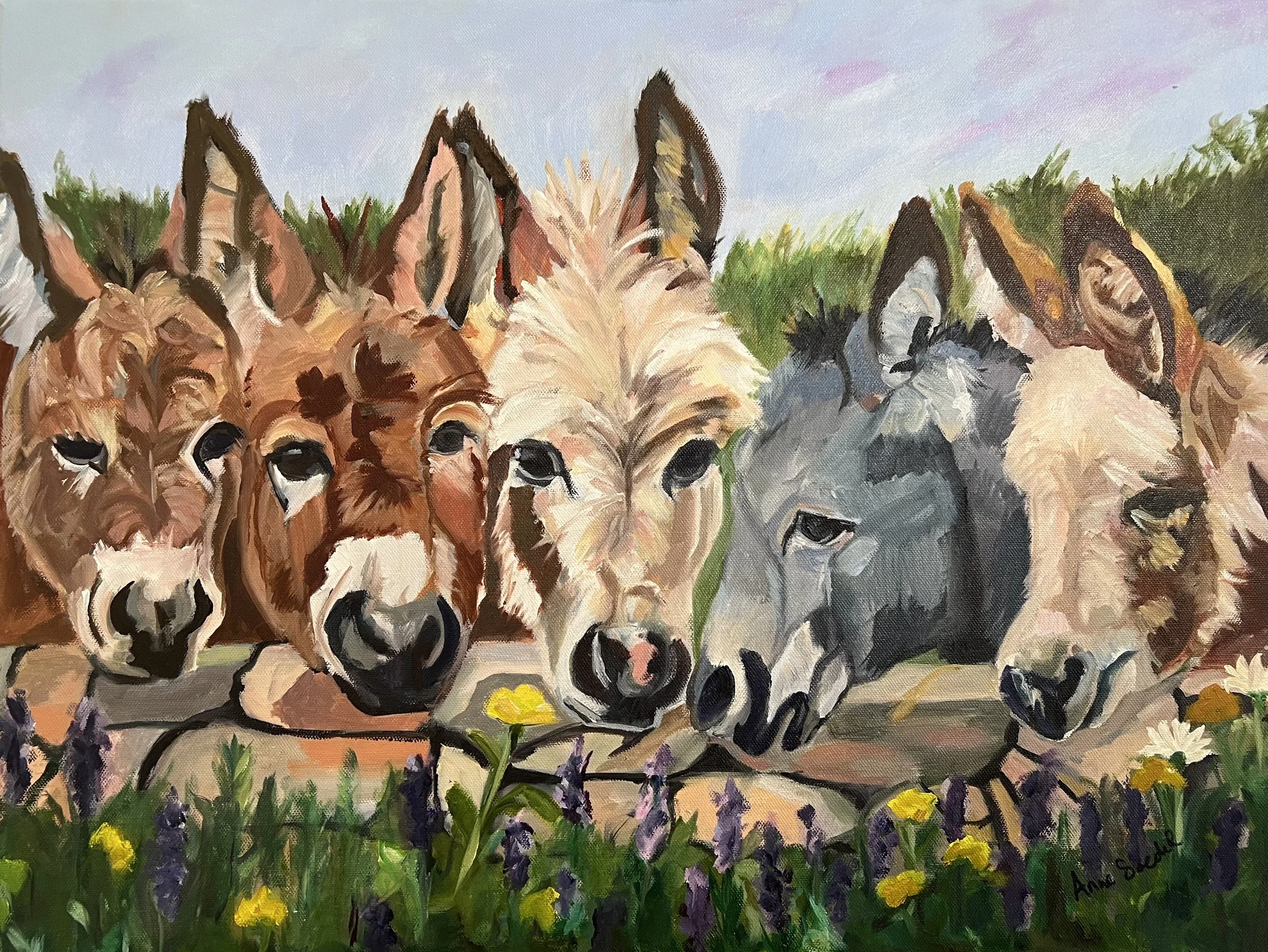 Donkeys Gails.jpeg