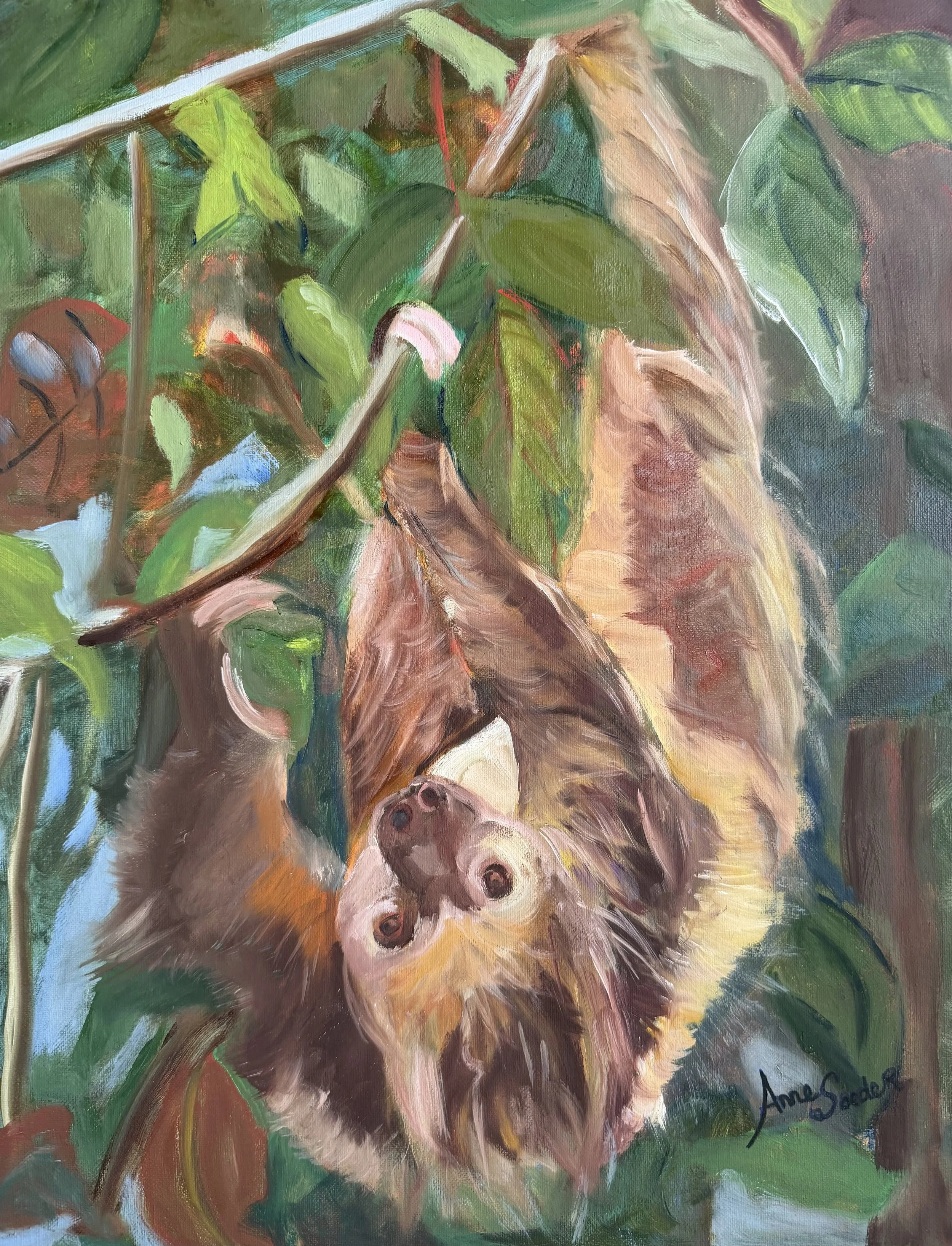 Sloth Costa Rica.jpeg