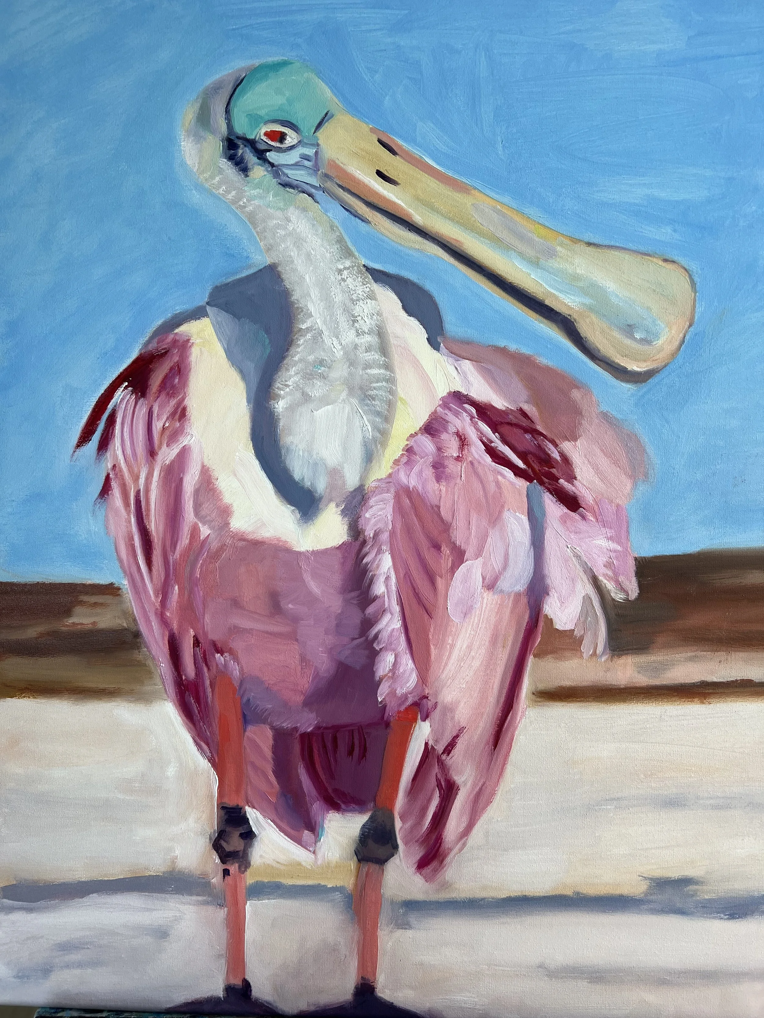 Spoonbill standing.jpeg