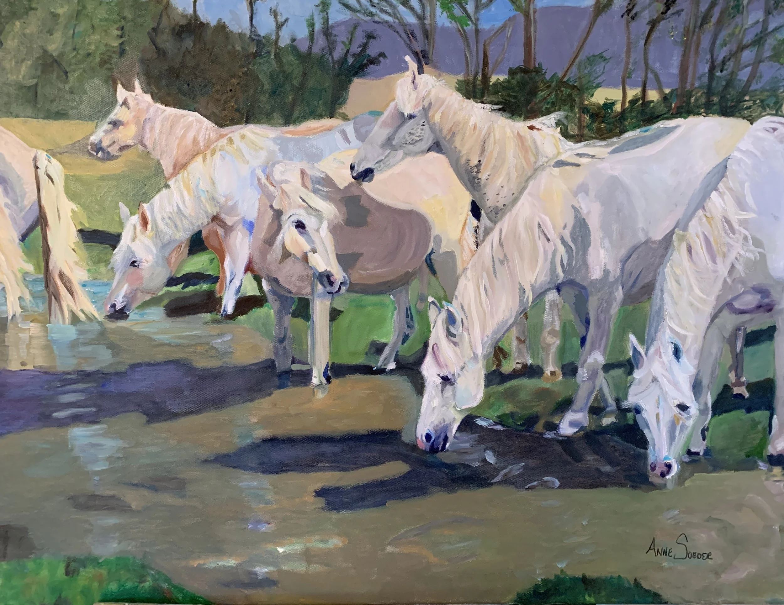 Horses Patagonia.jpg