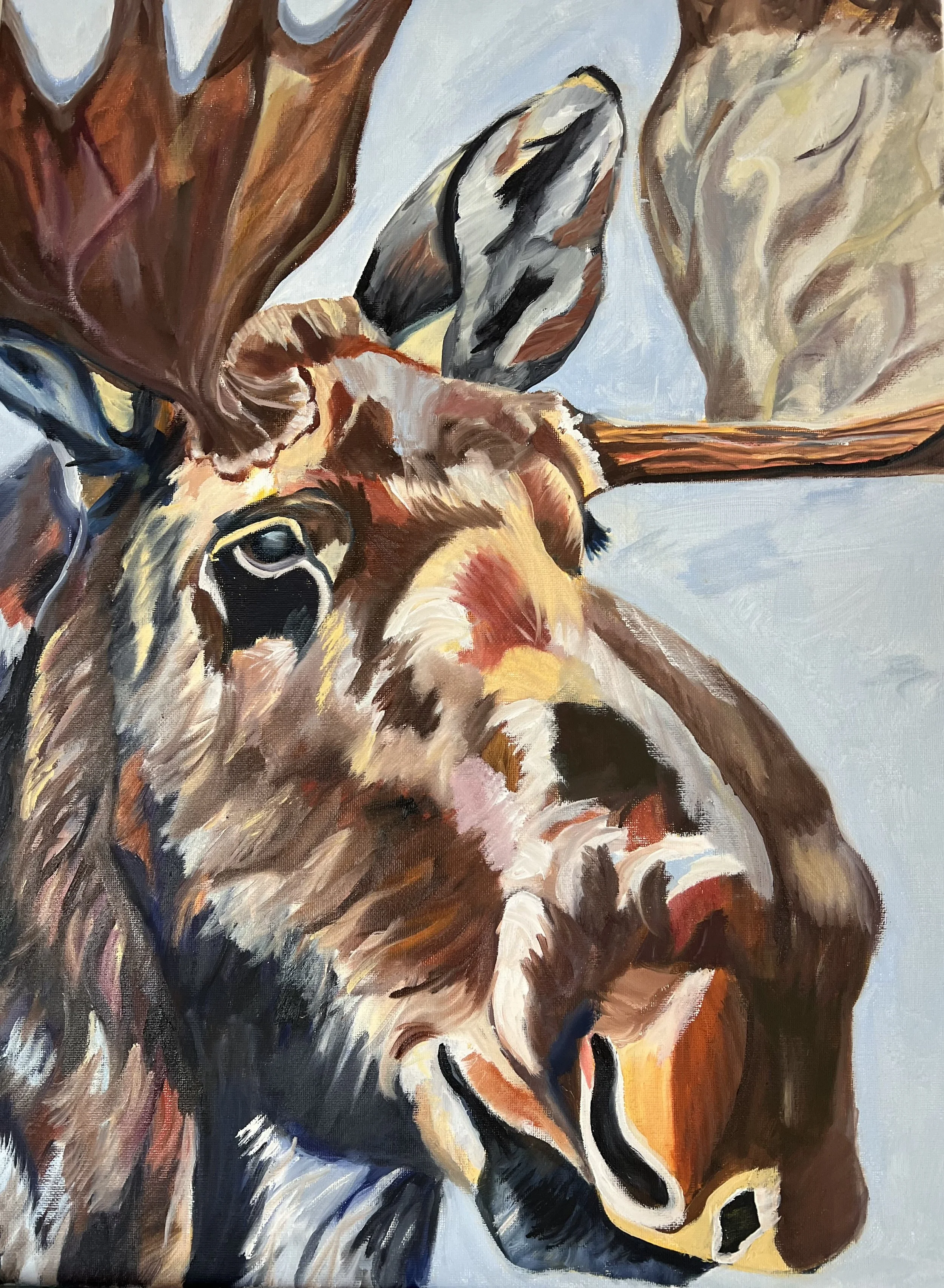 Moose.jpeg