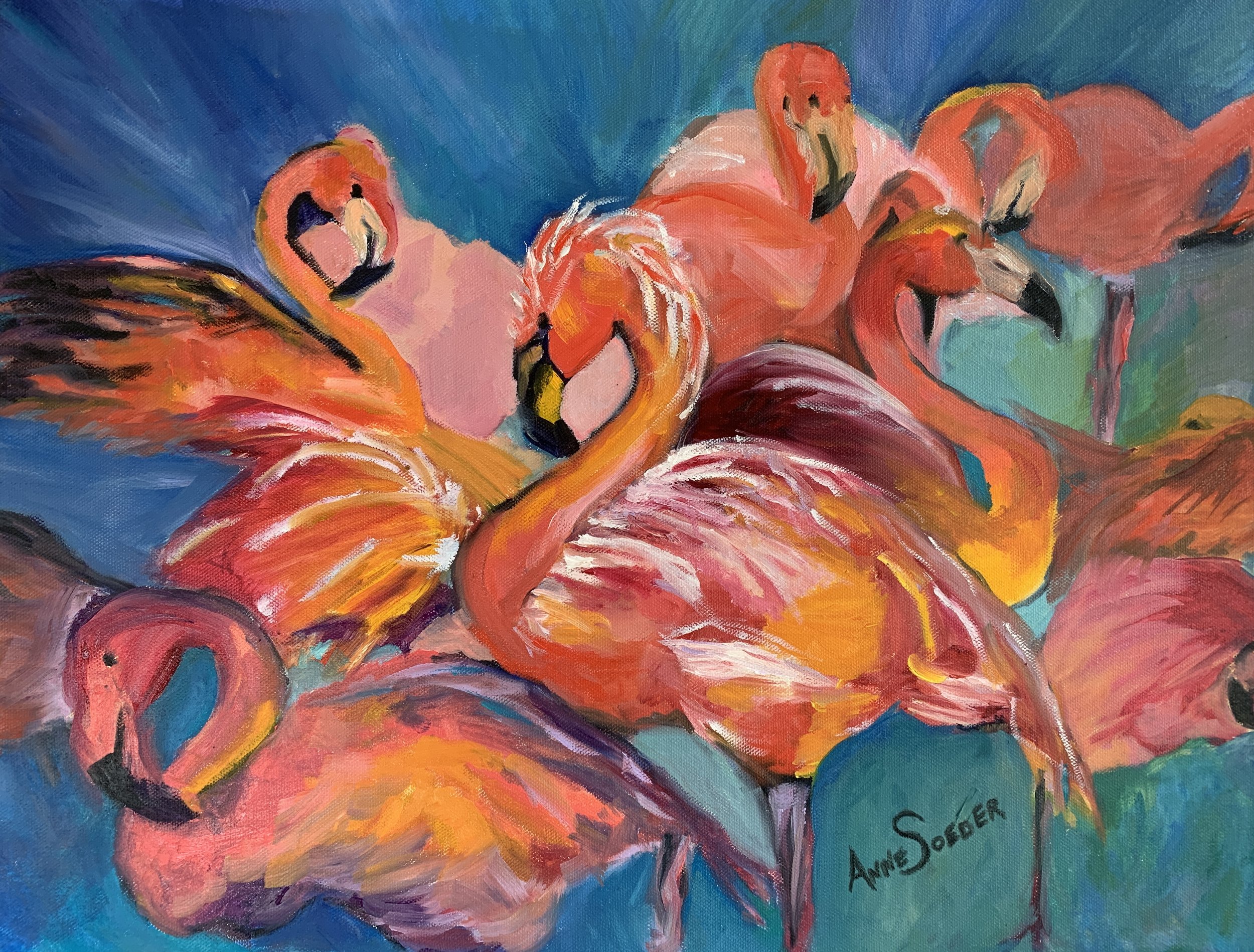 flamingo flocks.jpg